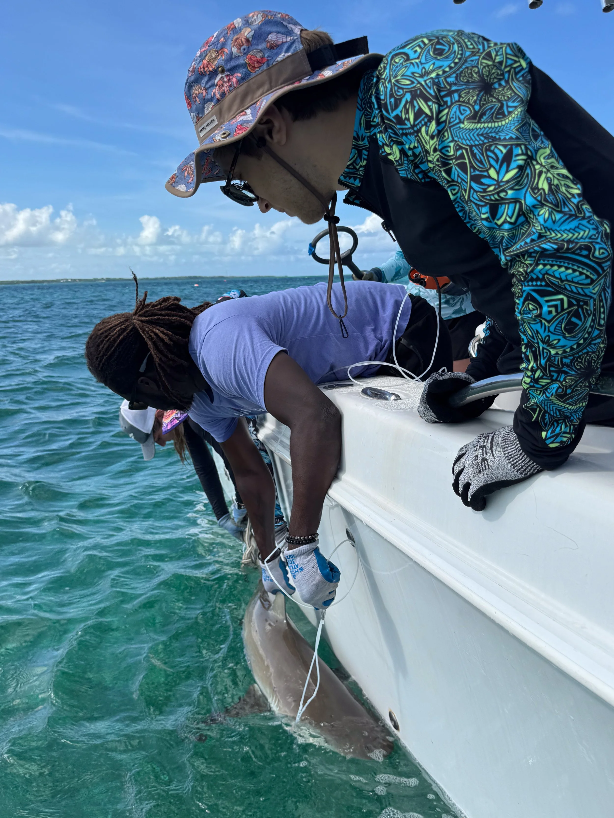 Saving the Blue - 501 c 3 - Nonprofit - Sharks - Shark - Shark Tag - Shark Tagging - Marine Biology - Shark Research - Bahamas - Florida - Shark Researcher - Beach Clean - Shark Nonprofit - Help Sharks - Save Sharks - Hammerhead - Sawfish - Tiger