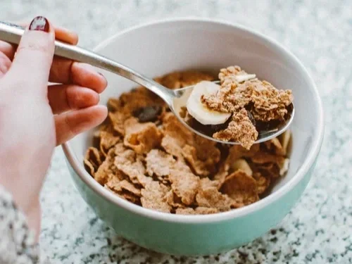 Saving the Blue - Andros Island - Bahamas - Cargill Creek - Behring Point - Lodge - Club - Sharks - Shark - Shark Research - Shark Research Station - Tongue of the Ocean - Fishing - Bonefish - Fish -