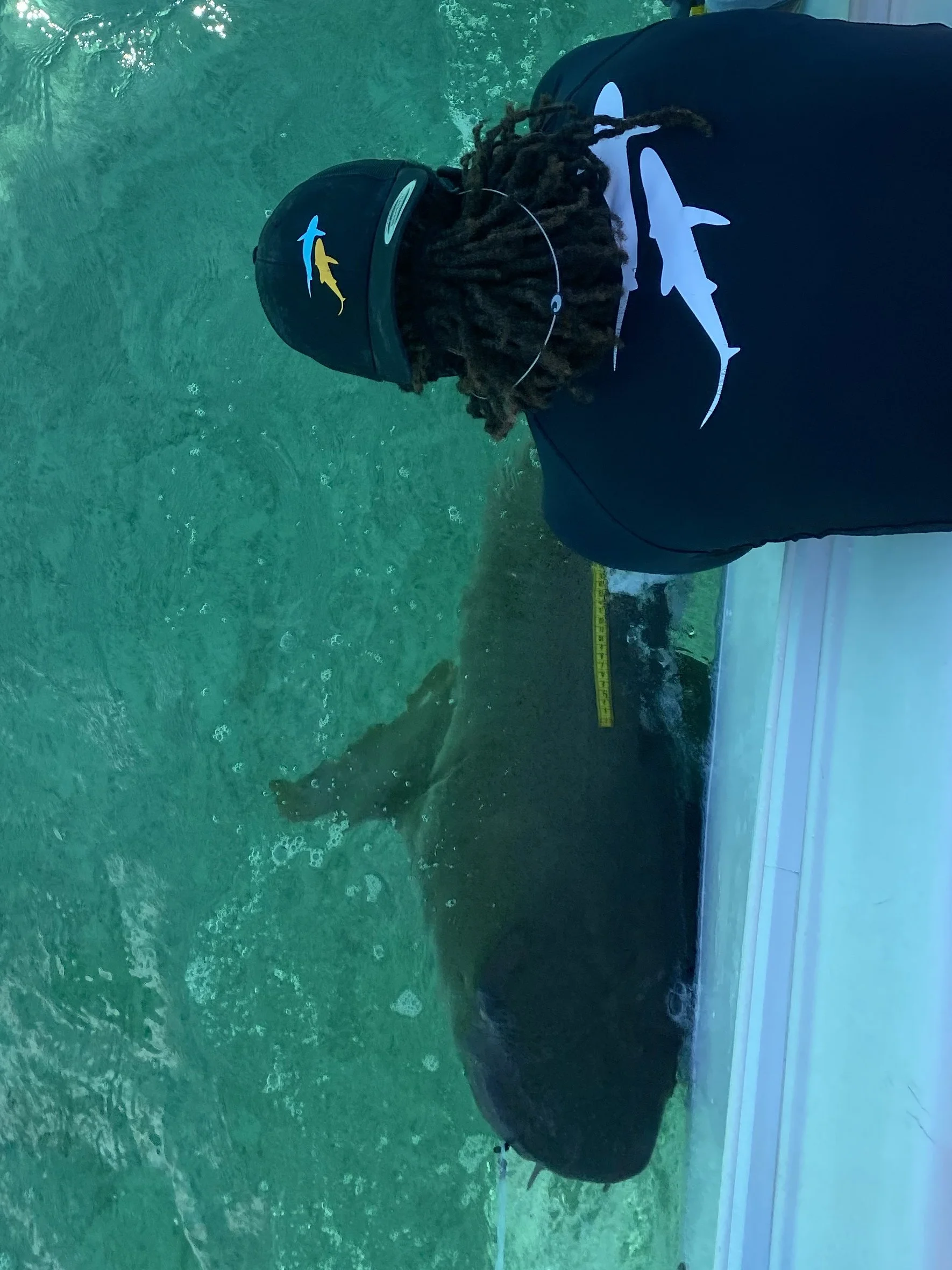 Nurse Shark Adoption