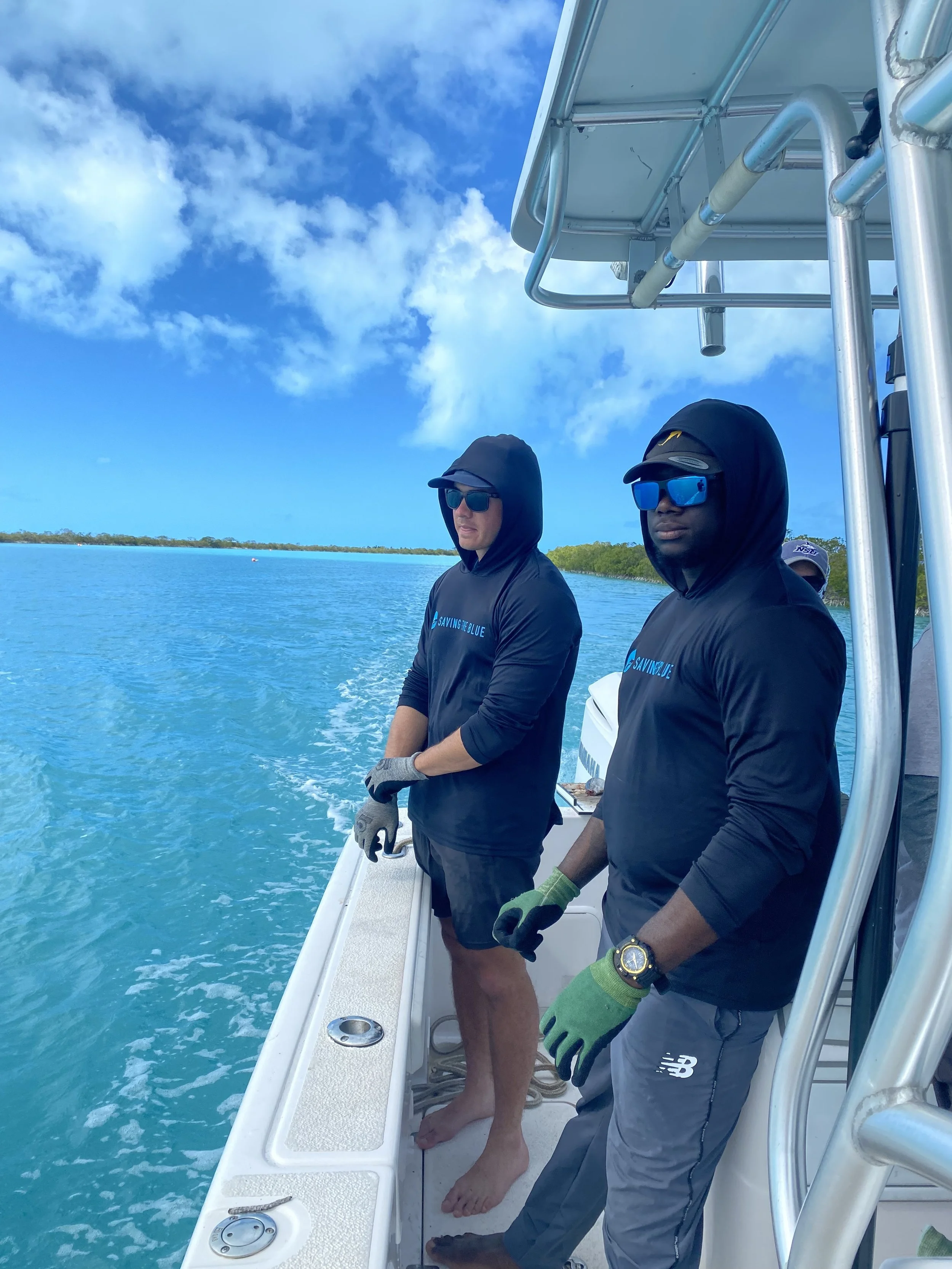 Saving the Blue - 501 c 3 - Nonprofit - Sharks - Shark - Shark Tag - Shark Tagging - Marine Biology - Shark Research - Bahamas - Florida - Shark Researcher - Beach Clean - Shark Nonprofit - Help Sharks - Save Sharks - Hammerhead - Sawfish - Tiger