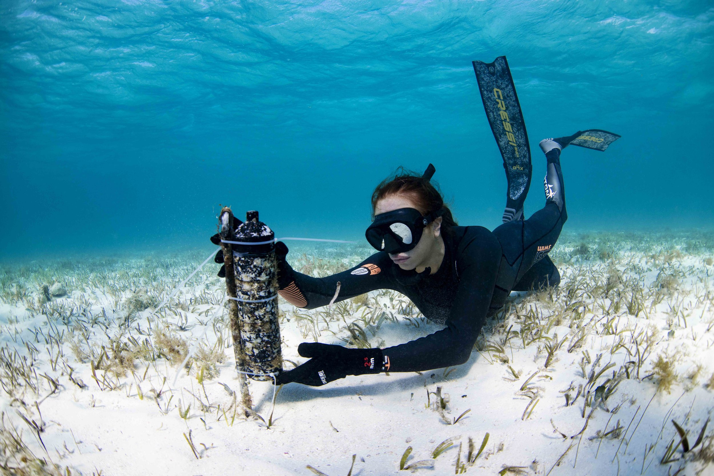 CRESSI - Annie Guttridge-8.jpg