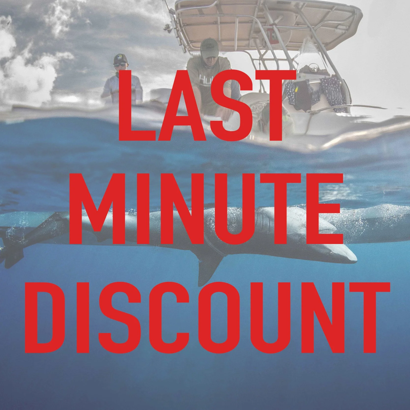 !!!! February 15-21st 2026 - DISCOUNT !!!!