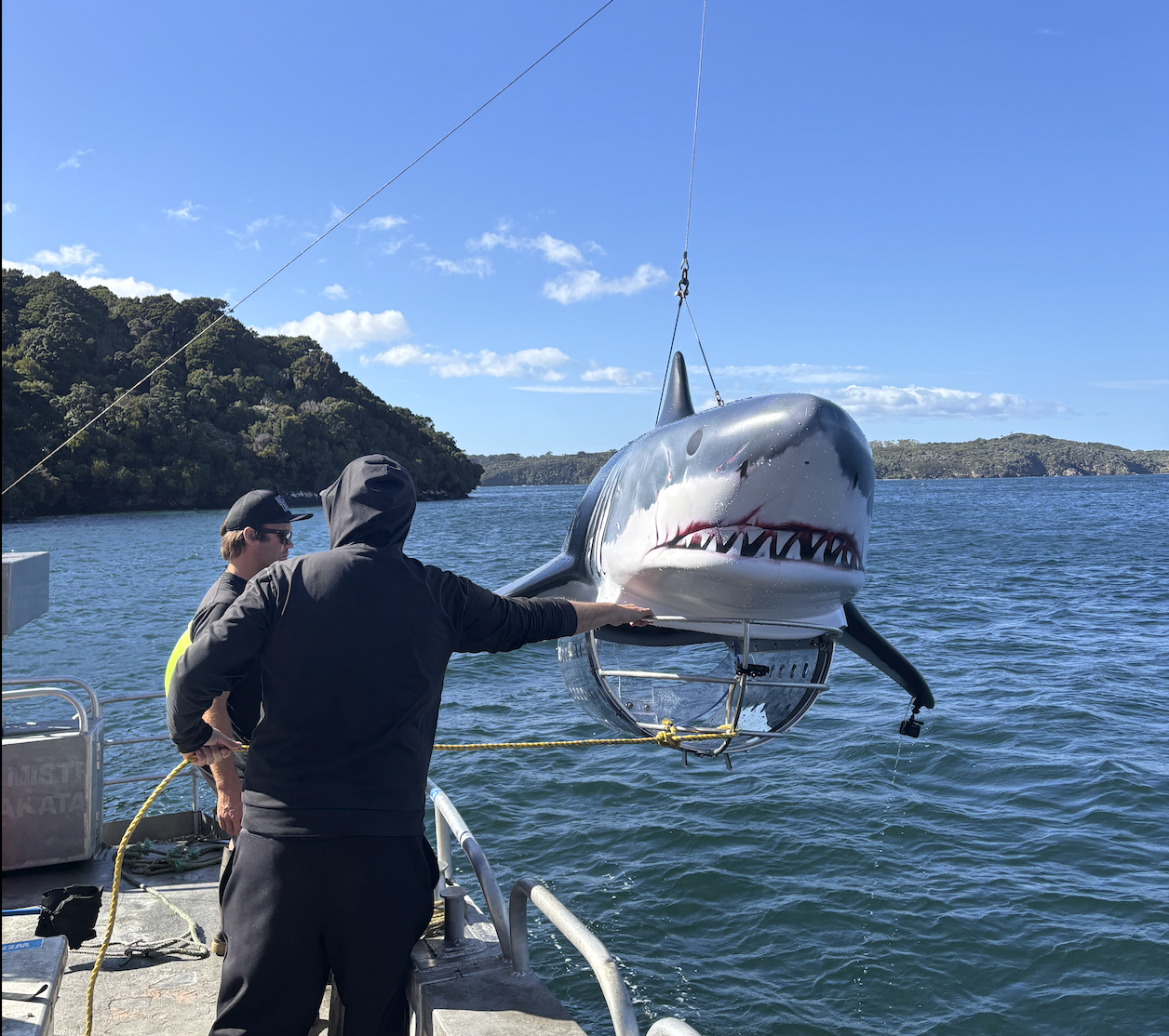 Saving the Blue - Shark Week 2026 - White Shark - Mako - Tristan Guttridge - Sharks - Shark - Shark Clothing - Fish - New Zealand - Shark Week - Red Hair - Woman - Man - Research - House of Sharks - Train a Shark - Diving - SCUBA - Sea - JAWS - Ocean