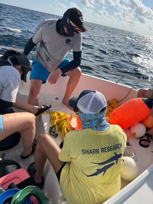 Yellow Saving the Blue 2.jpeg