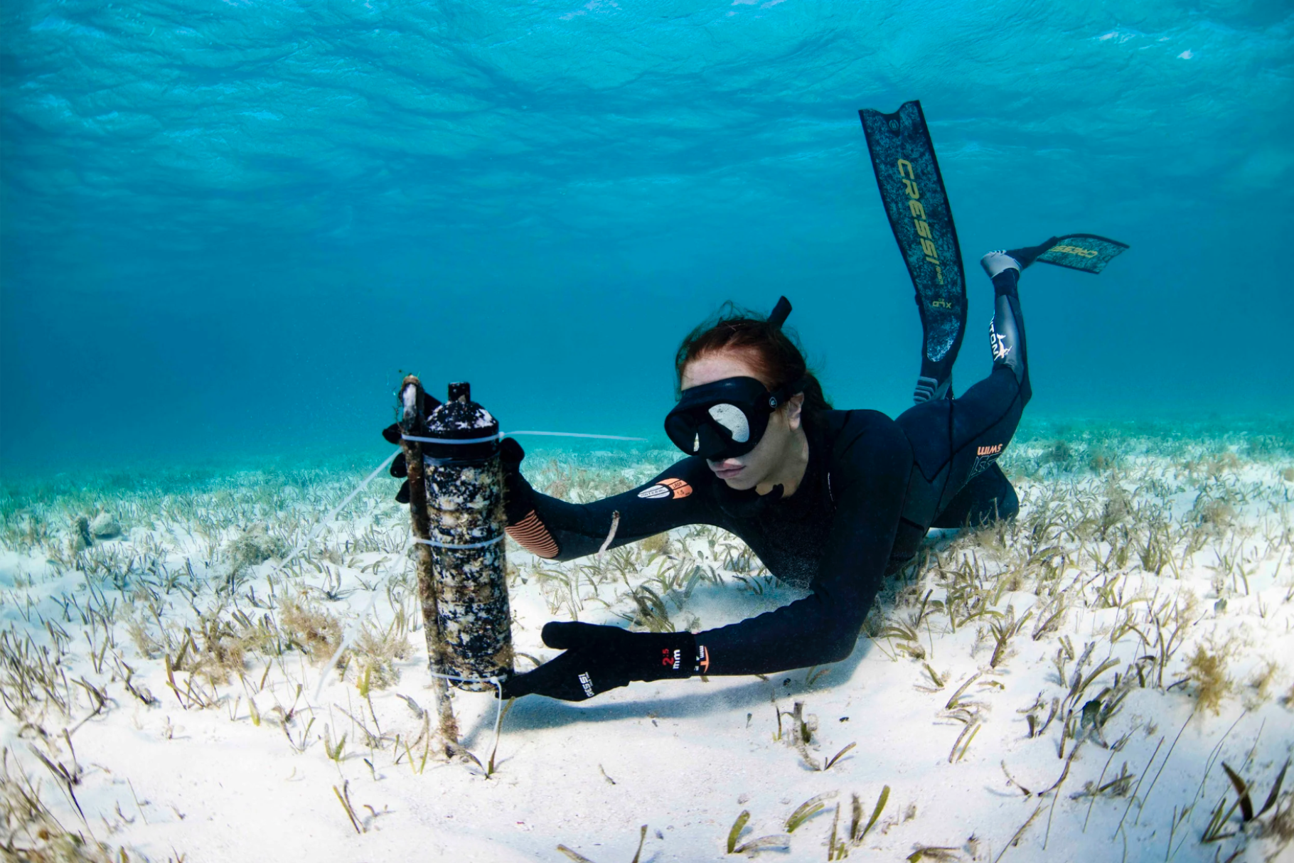 Screenshot 2026-01-21 at 5.25.38 PM.png