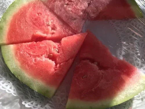 Saving the Blue - Andros Island - Bahamas - Cargill Creek - Behring Point - Lodge - Club - Sharks - Shark - Shark Research - Shark Research Station - Tongue of the Ocean - Fishing - Bonefish - Fish -