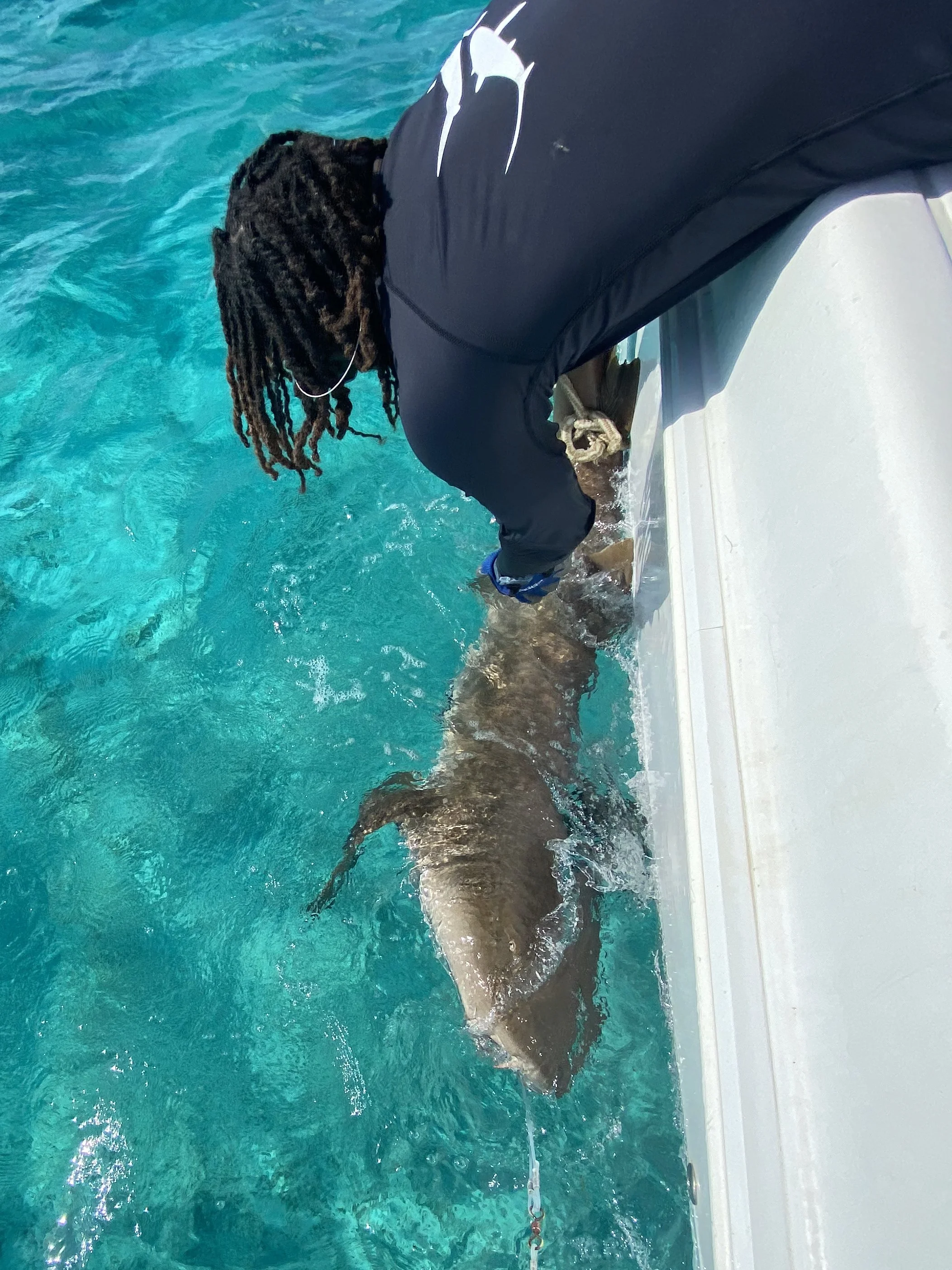Nurse Shark Adoption