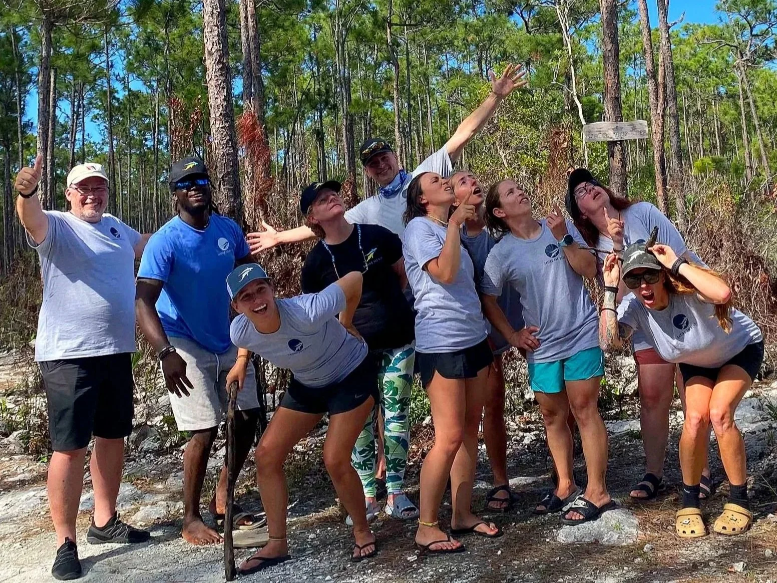 Lori Ann Noordergraaf - Sharks - Shark - Donate - Donation - Obituary - Saving the Blue - Non Profit - Shark Research Station