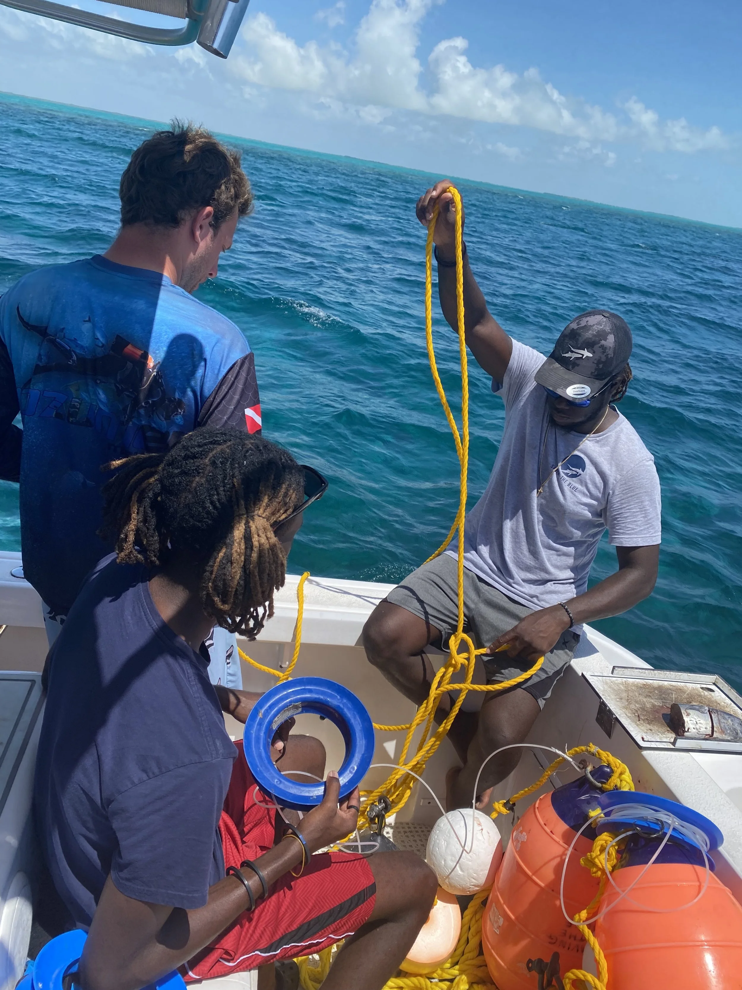 Saving the Blue - 501 c 3 - Nonprofit - Sharks - Shark - Shark Tag - Shark Tagging - Marine Biology - Shark Research - Bahamas - Florida - Shark Researcher - Beach Clean - Shark Nonprofit - Help Sharks - Save Sharks - Hammerhead - Sawfish - Tiger