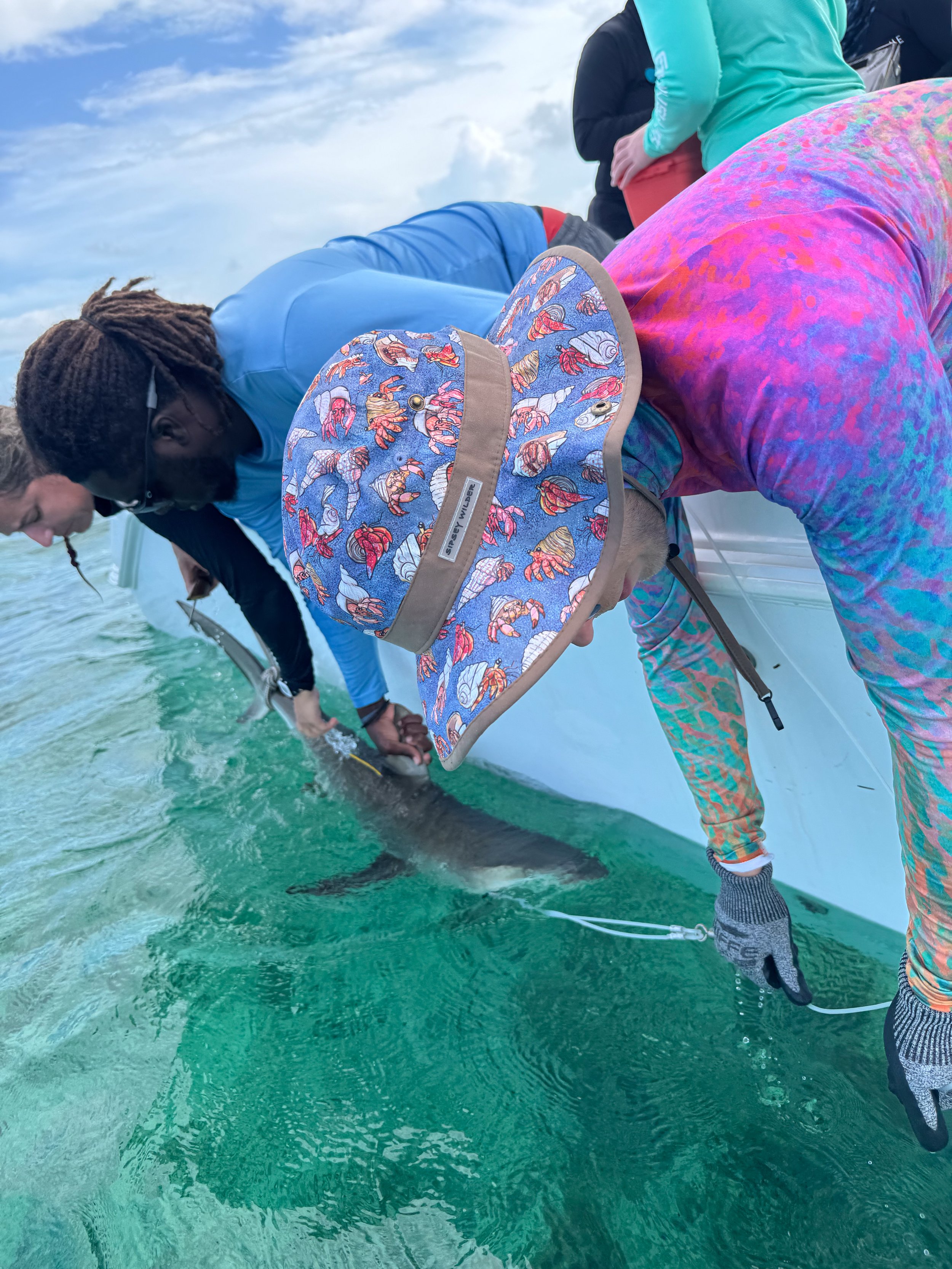 Saving the Blue - 501 c 3 - Nonprofit - Sharks - Shark - Shark Tag - Shark Tagging - Marine Biology - Shark Research - Bahamas - Florida - Shark Researcher - Gabby Lozada - Shark Nonprofit - Help Sharks - Save Sharks - Hammerhead - Silky - Tiger