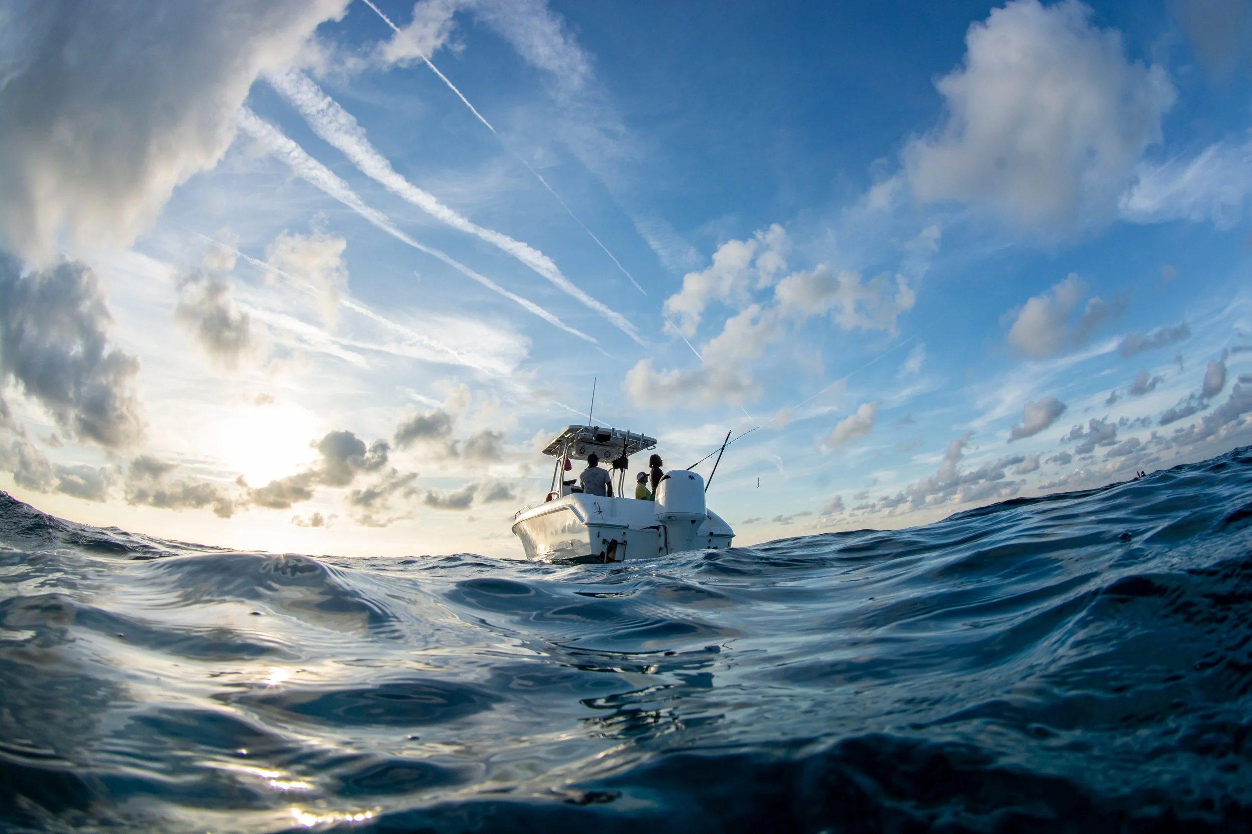 Saving the Blue - 501 c 3 - Nonprofit - Sharks - Shark - Shark Tag - Shark Tagging - Marine Biology - Shark Research - Bahamas - Florida - Shark Researcher - Shark Clothing - Shark Nonprofit - Help Sharks - Save Sharks - Hammerhead - Bull - Tiger