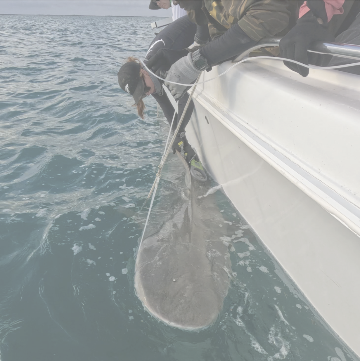 November 30-6th 2025