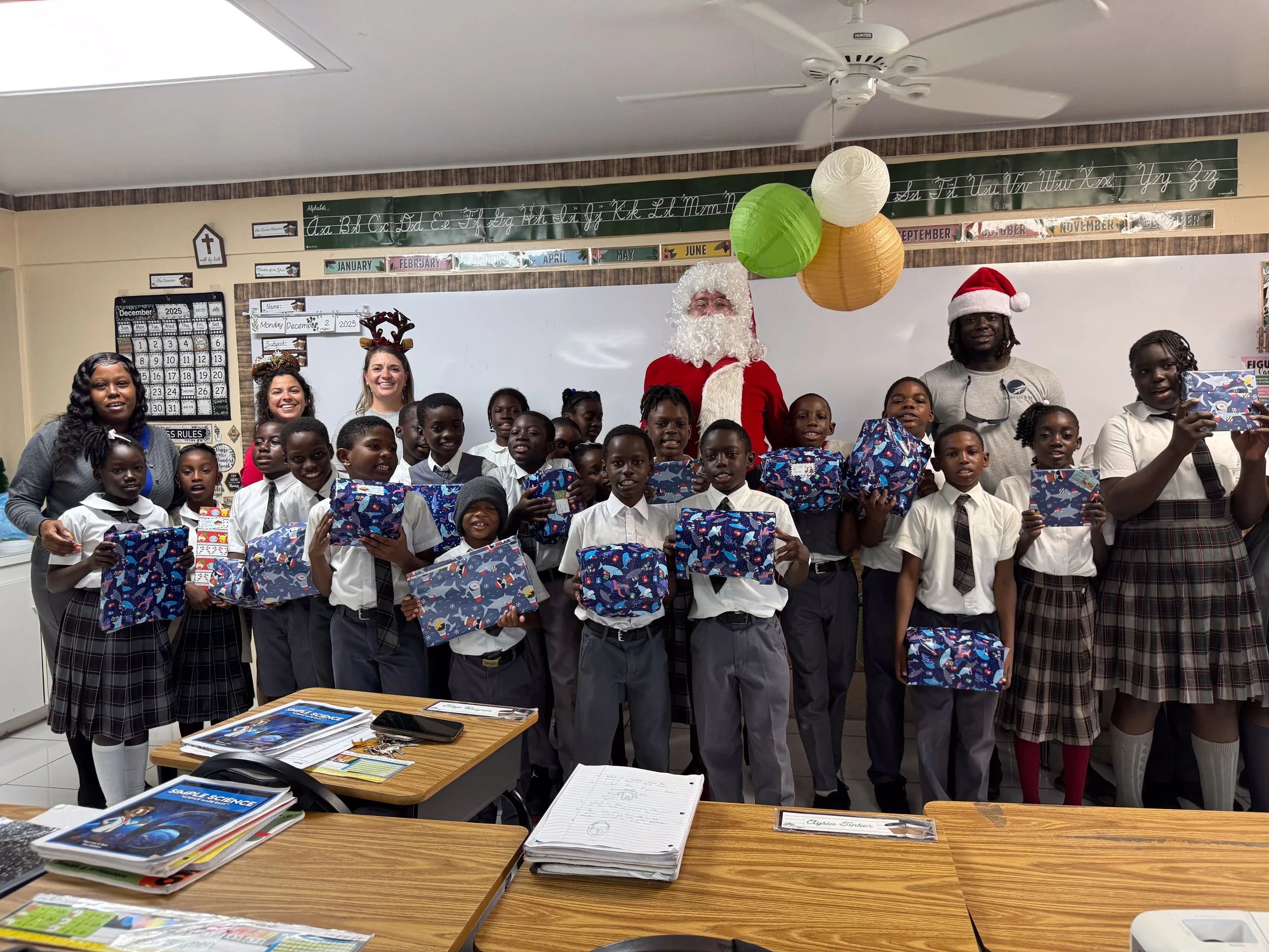 Saving the Blue - 501 c 3 - Nonprofit - Sharks - Shark - Shark Tag - Shark Tagging - Marine Biology - Shark Research - Bahamas - Florida - Shark Researcher - Shark Clothing - Shark Nonprofit - Help Sharks - Save Sharks - Hammerhead - Bull - Tiger