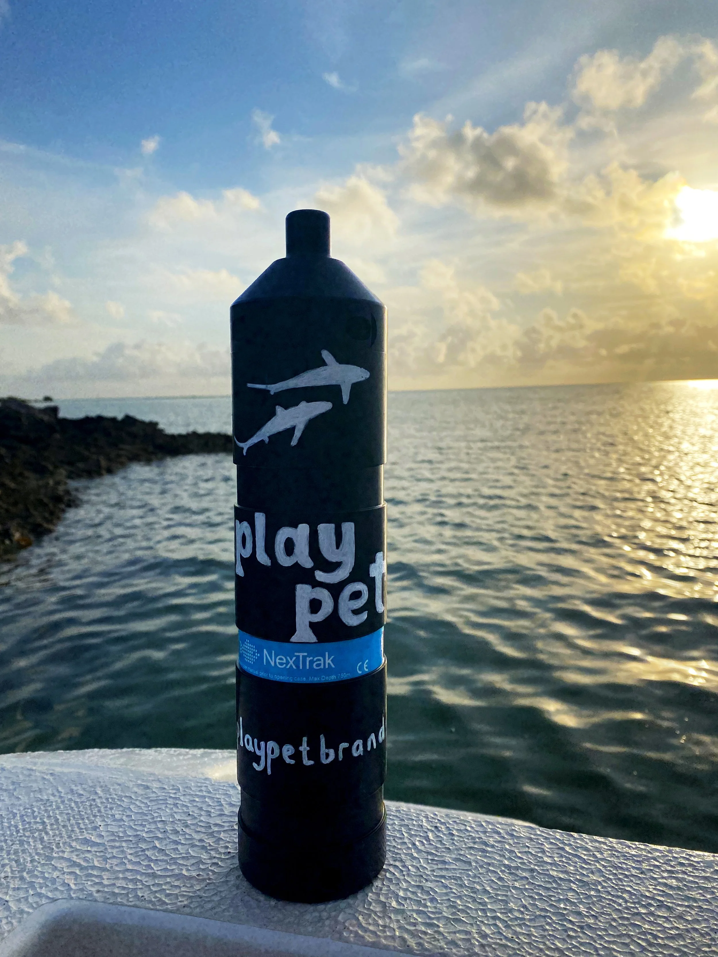 A black stick with a sticker that has white fish drawings and the words 'play pet' on it, against a coastal sunset background with water and sky.