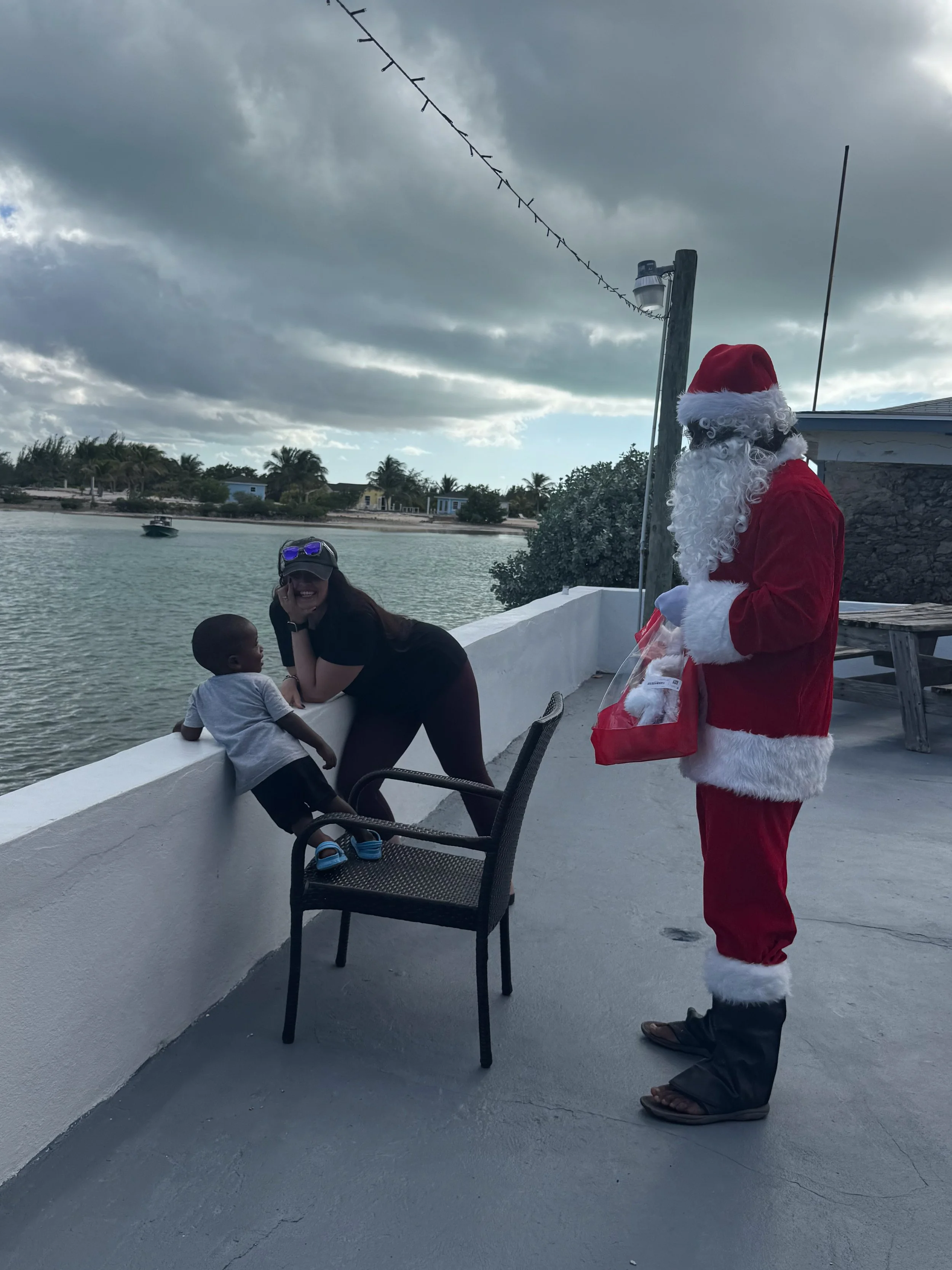 Saving the Blue - 501 c 3 - Nonprofit - Sharks - Shark - Shark Tag - Shark Tagging - Marine Biology - Shark Research - Bahamas - Florida - Shark Researcher - Shark Clothing - Shark Nonprofit - Help Sharks - Save Sharks - Hammerhead - Bull - Tiger