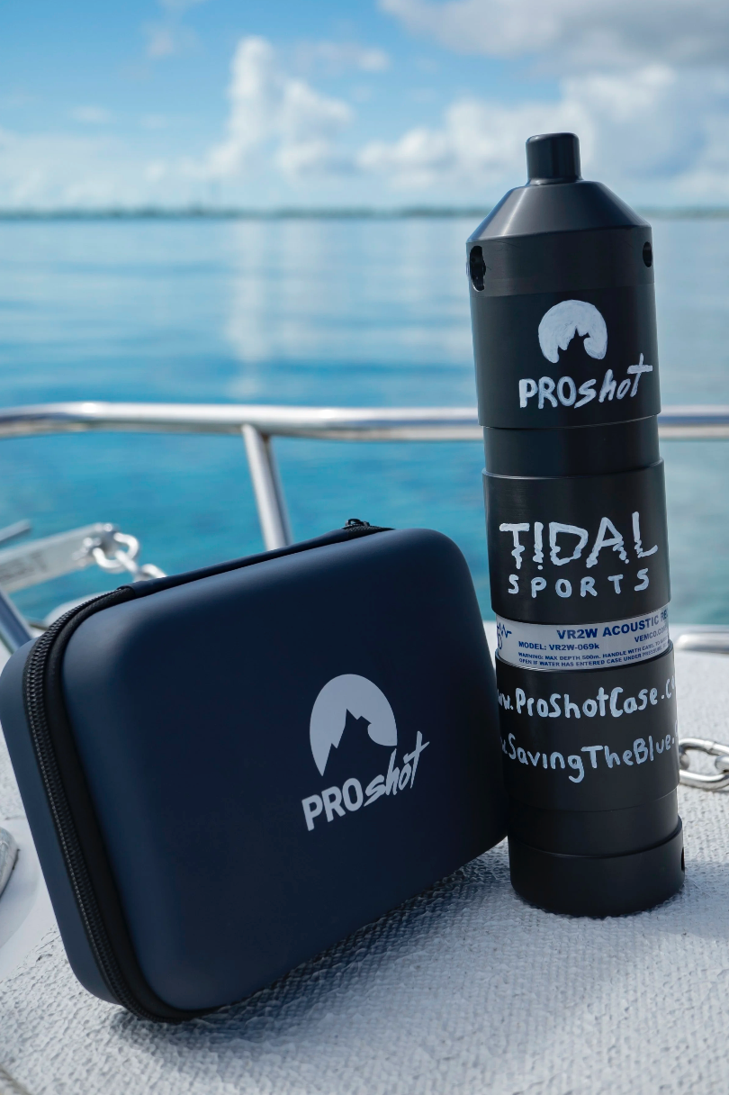 Screenshot 2026-01-21 at 5.25.04 PM.png