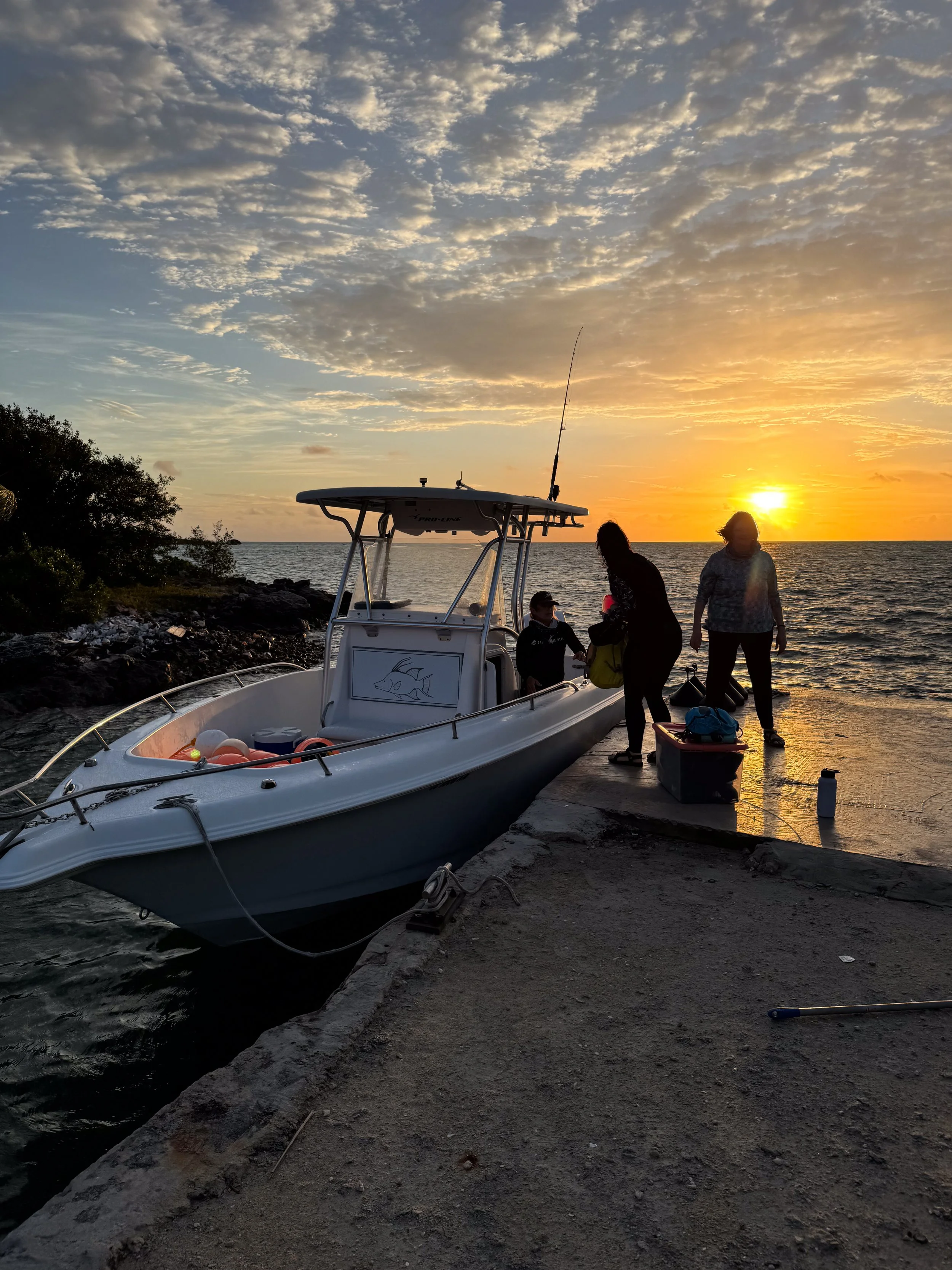 Saving the Blue - 501 c 3 - Nonprofit - Sharks - Shark - Shark Tag - Shark Tagging - Marine Biology - Shark Research - Bahamas - Florida - Shark Researcher - Beach Clean - Shark Nonprofit - Help Sharks - Save Sharks - Hammerhead - Sawfish - Tiger