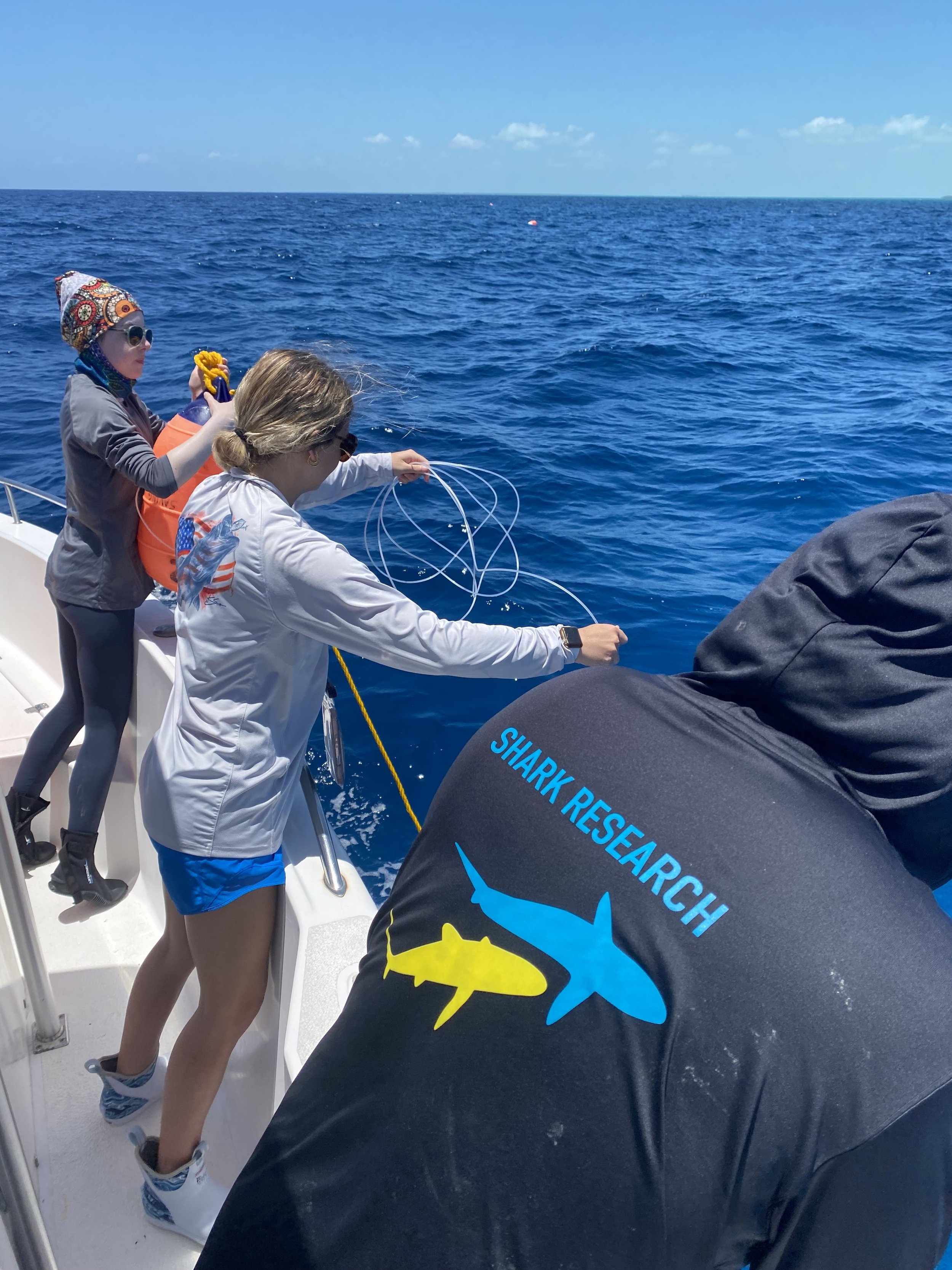Saving the Blue - 501 c 3 - Nonprofit - Sharks - Shark - Shark Tag - Shark Tagging - Marine Biology - Shark Research - Bahamas - Florida - Shark Researcher - Beach Clean - Shark Nonprofit - Help Sharks - Save Sharks - Hammerhead - Sawfish - Tiger