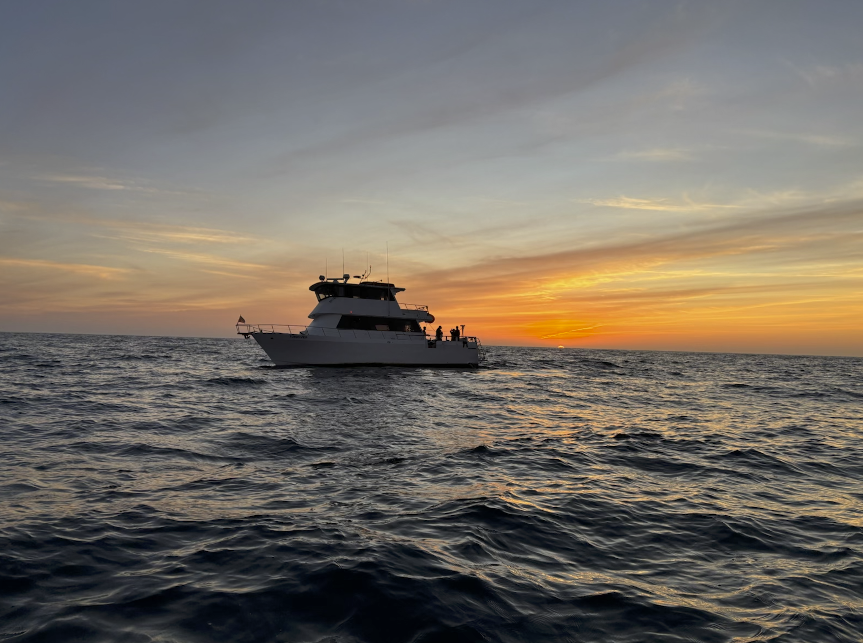 Shark Week - Shark Week 2025 - Saving the Blue - Dr Tristan Guttridge - Black Mako of the Abyss - Mako Shark  - Mako - Shark Diving - Shark - Sharks - Cage Diving - Shark Show - Shark TV - Shark Week Schedule 2025