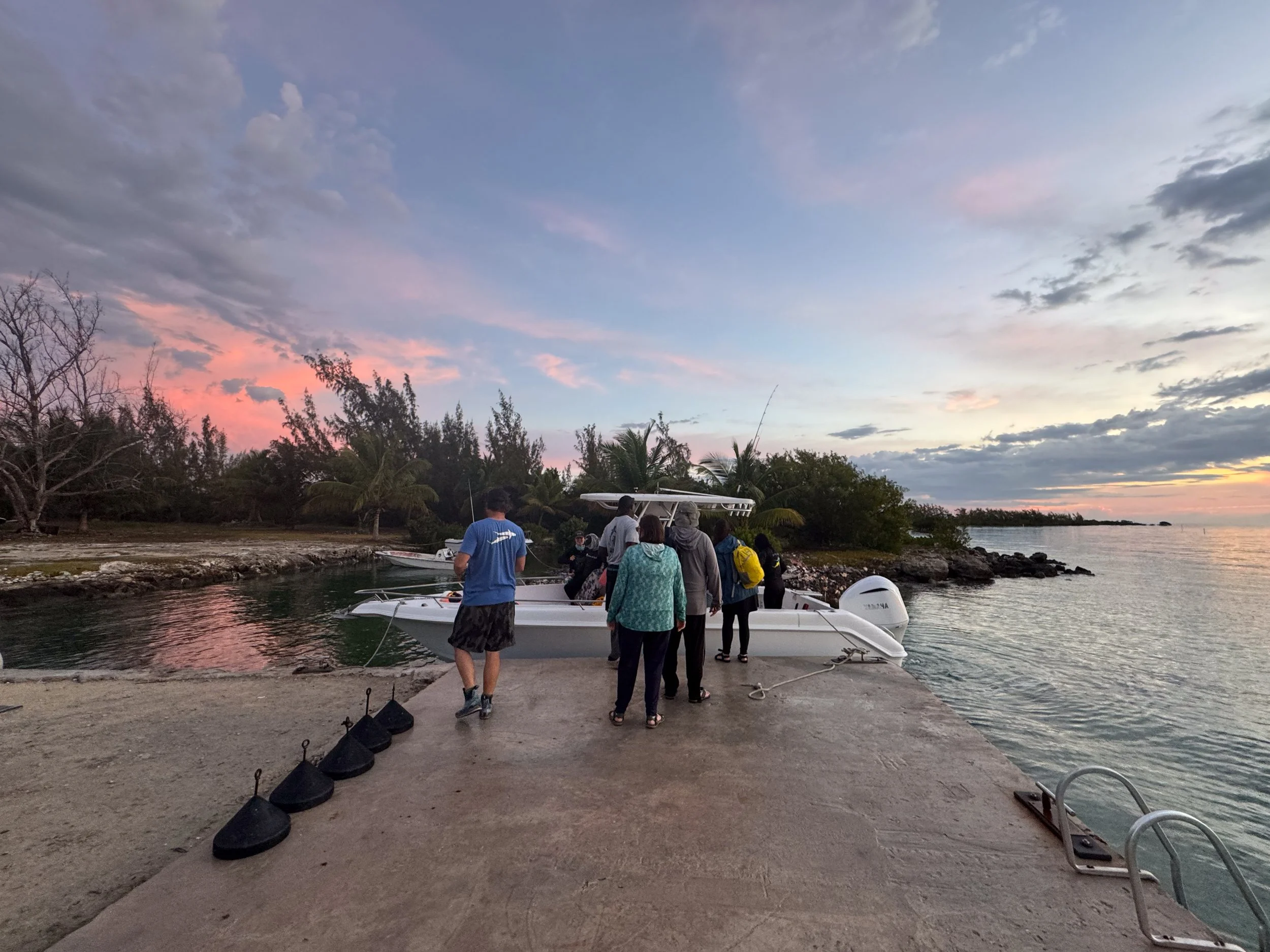 Saving the Blue - 501 c 3 - Nonprofit - Sharks - Shark - Shark Tag - Shark Tagging - Marine Biology - Shark Research - Bahamas - Florida - Shark Researcher - Beach Clean - Shark Nonprofit - Help Sharks - Save Sharks - Hammerhead - Sawfish - Tiger