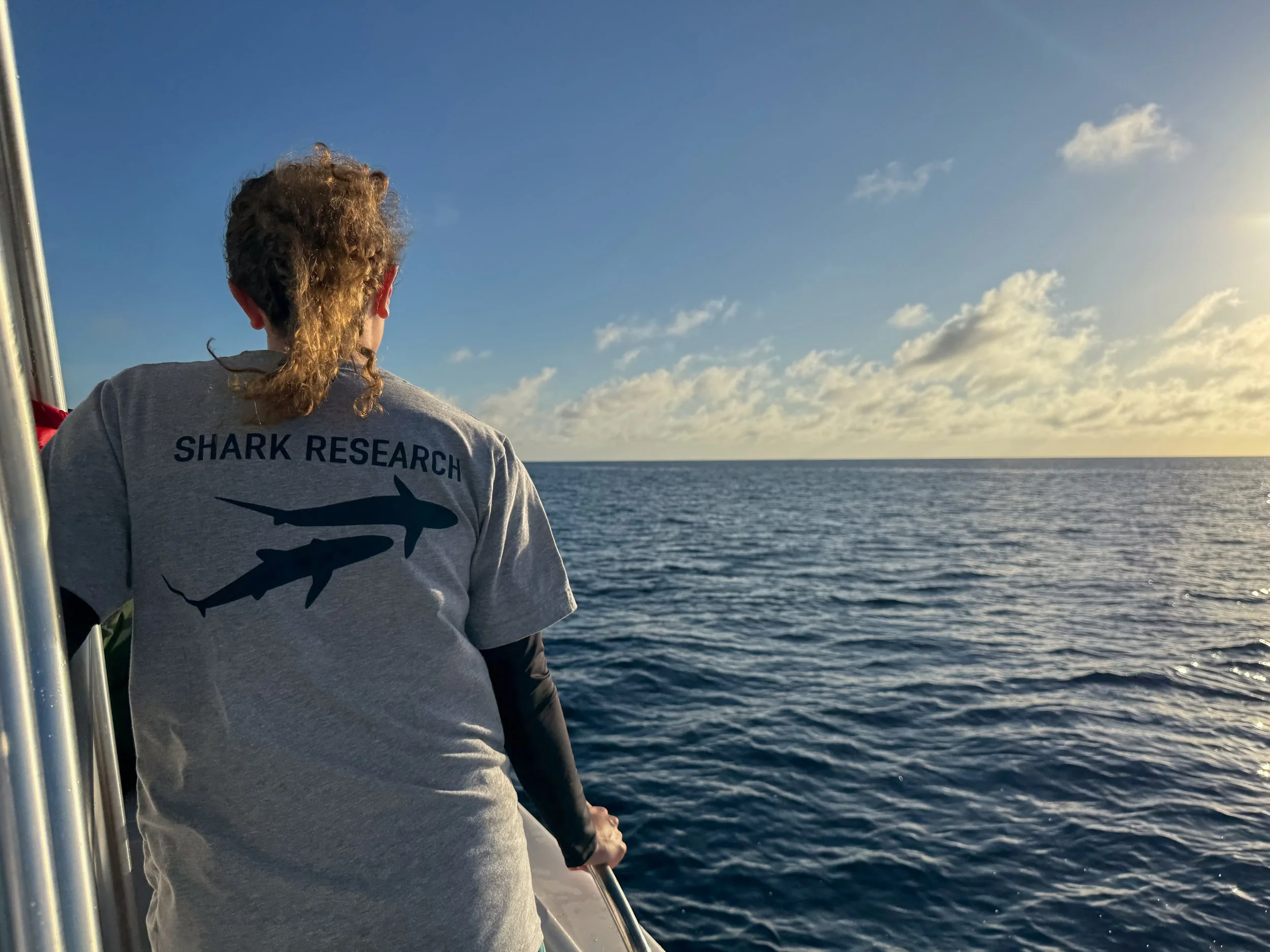 Saving the Blue - 501 c 3 - Nonprofit - Sharks - Shark - Shark Tag - Shark Tagging - Marine Biology - Shark Research - Bahamas - Florida - Shark Researcher - Shark Clothing - Shark Nonprofit - Help Sharks - Save Sharks - Hammerhead - Bull - Tiger