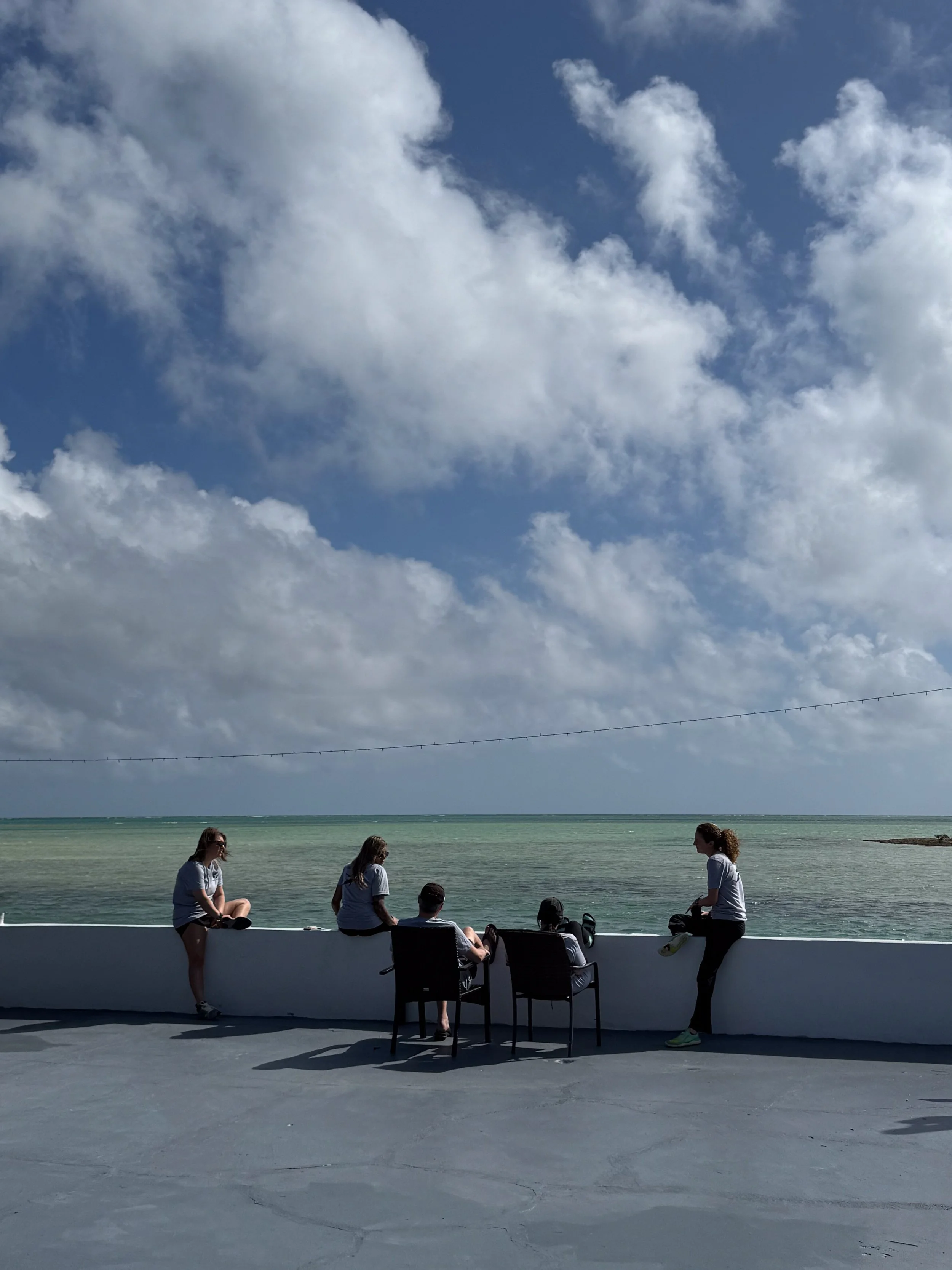 Saving the Blue - 501 c 3 - Nonprofit - Sharks - Shark - Shark Tag - Shark Tagging - Marine Biology - Shark Research - Bahamas - Florida - Shark Researcher - Shark Clothing - Shark Nonprofit - Help Sharks - Save Sharks - Hammerhead - Bull - Tiger