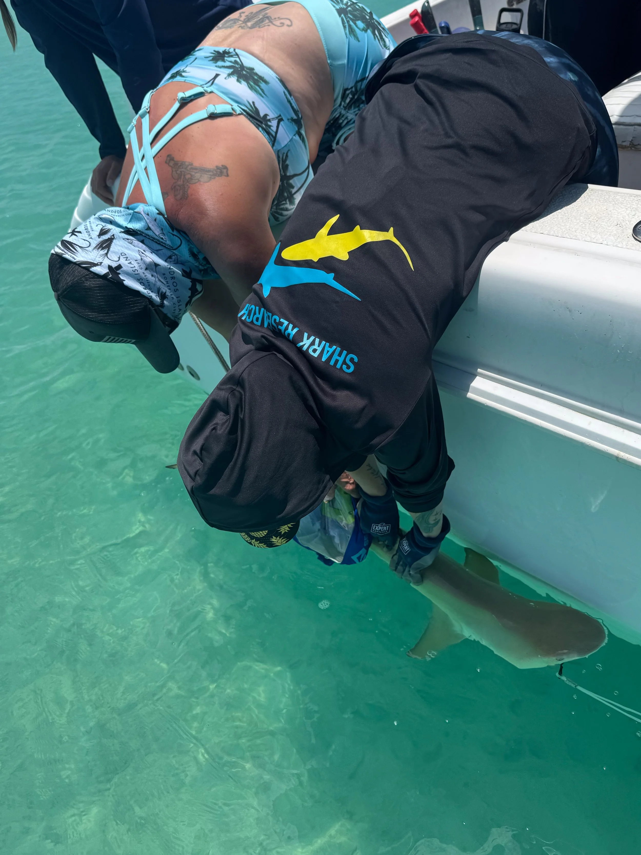 Saving the Blue - 501 c 3 - Nonprofit - Sharks - Shark - Shark Tag - Shark Tagging - Marine Biology - Shark Research - Bahamas - Florida - Shark Researcher - Gabby Lozada - Shark Nonprofit - Help Sharks - Save Sharks - Hammerhead - Silky - Tiger