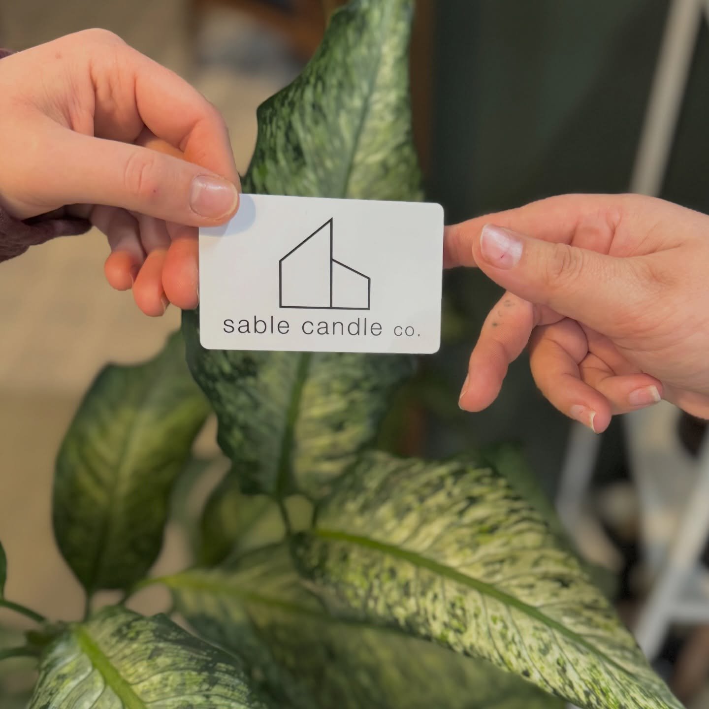 🎶 Santa Baby, slip a Sable (gift card) under the tree, for me 🎶

Did you know our gift cards can be used for BOTH shopping in store AND for our workshops? That&rsquo;s right! Whether you are gifting a candle from our collections or  the candle work