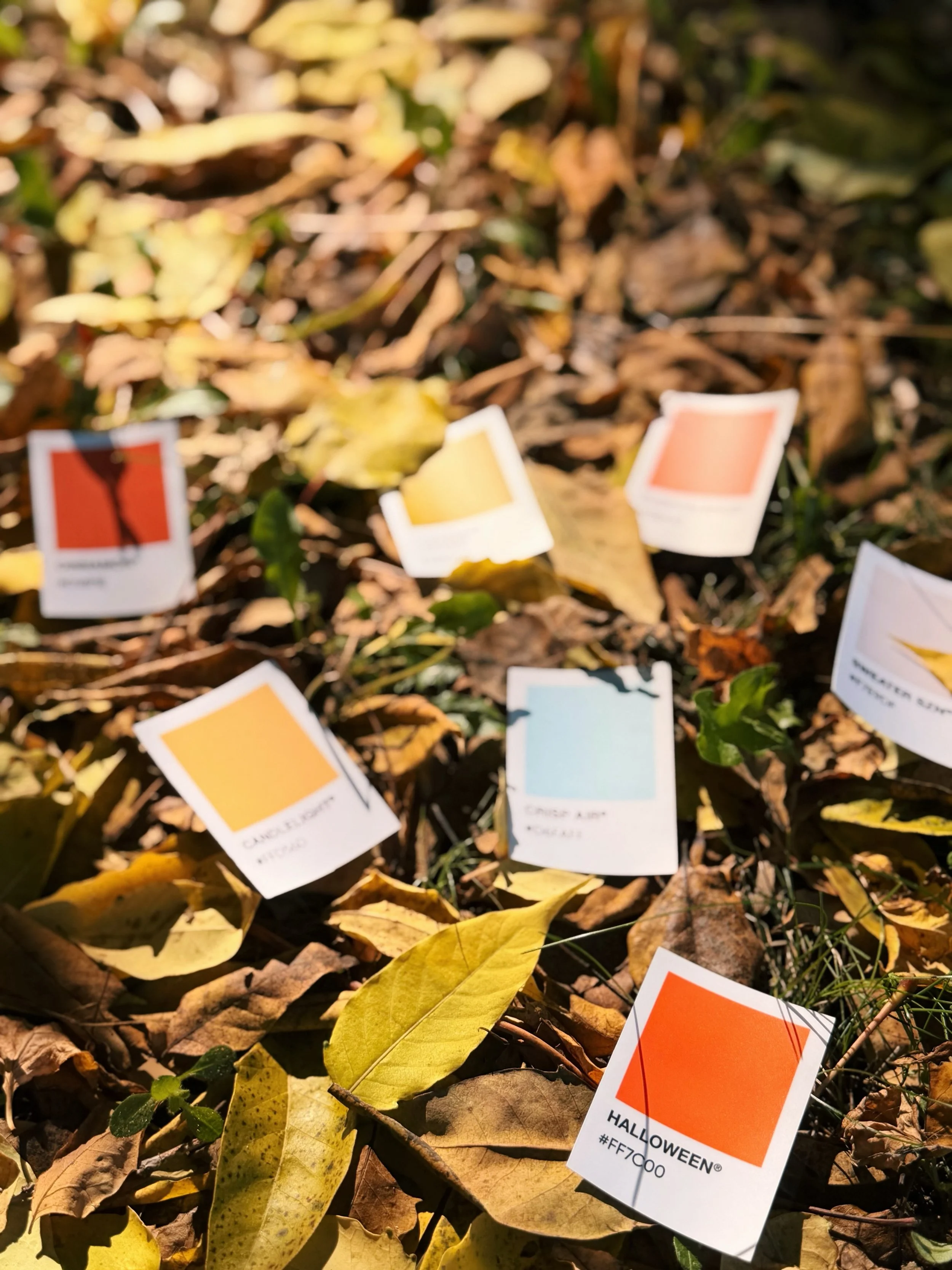 Some of the seasonal stickers we have in-store that you can add to your workshop candle ! 🎃 These would be so fun to match to a scent 🍂 

We may or may not have a favorite 👻
