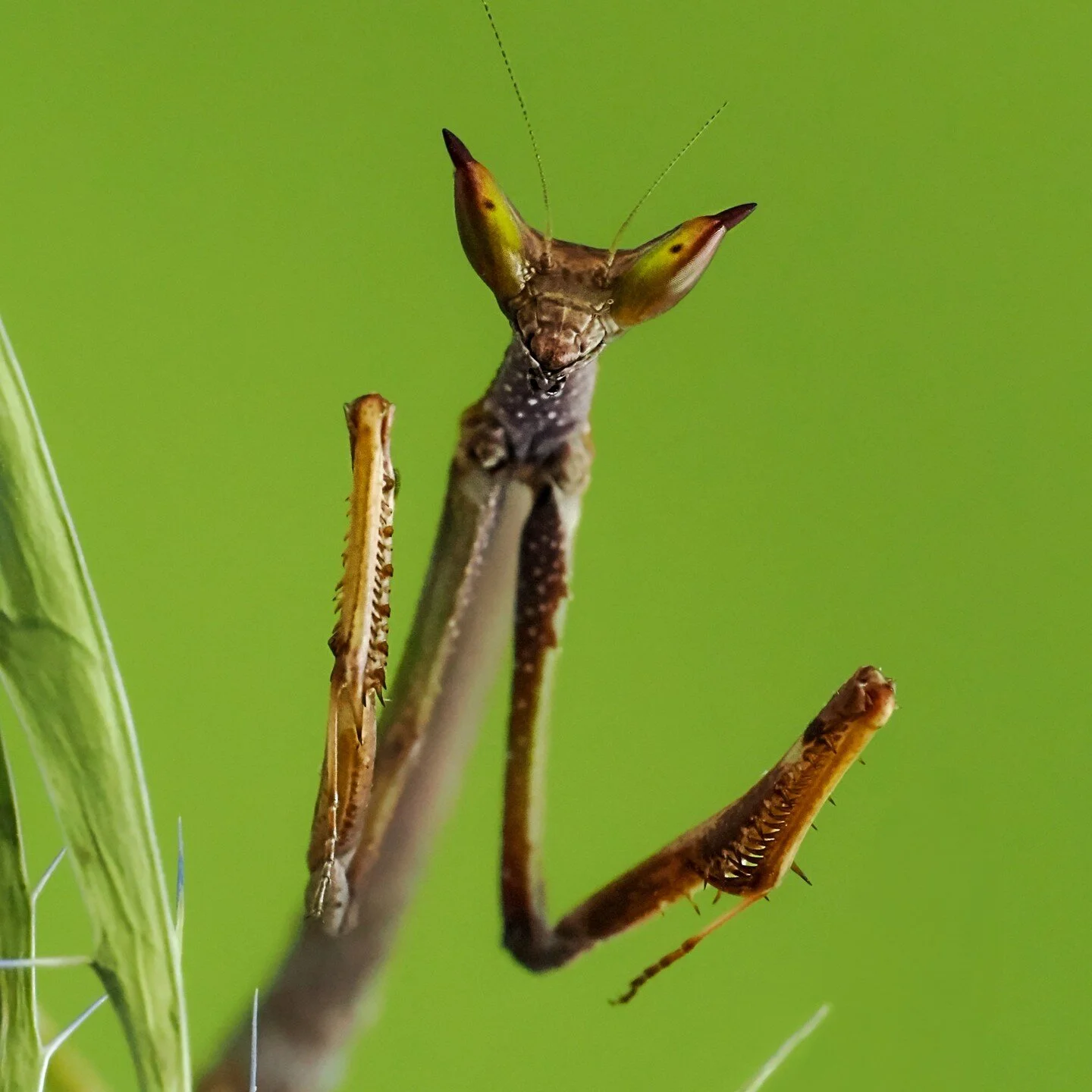 Instagram Portfolio Photography By Lisa And Tom Instagram Portfolio Photography By Lisa And Tom