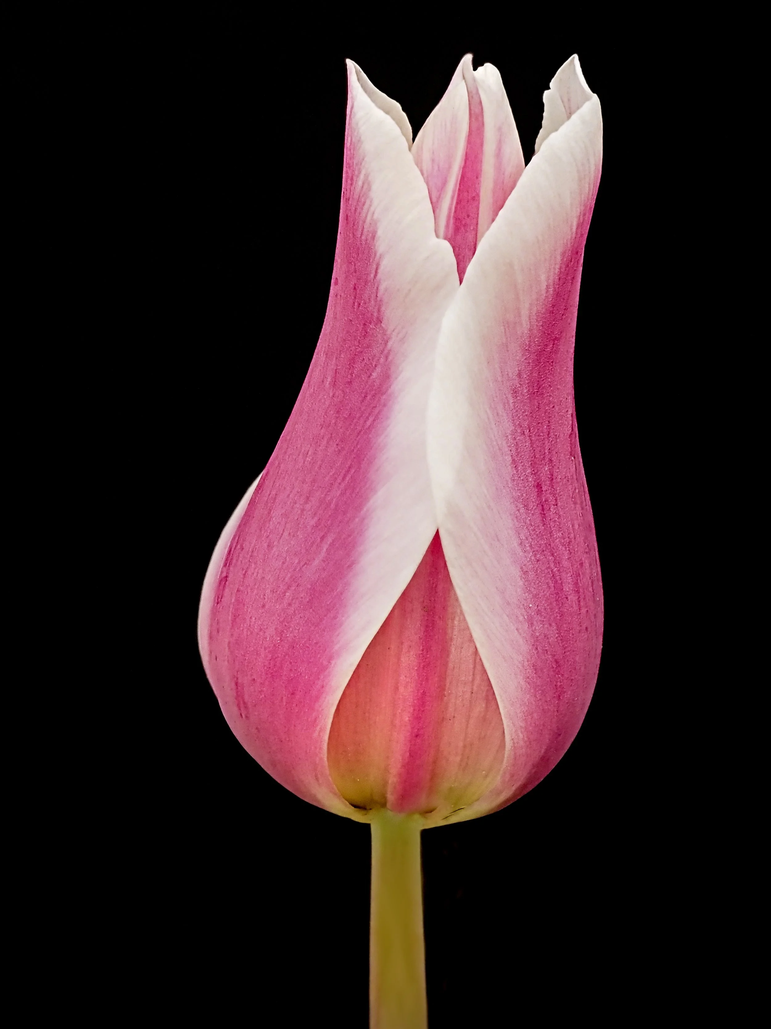 20122_042521_161330_EM1M3L622.jpg
