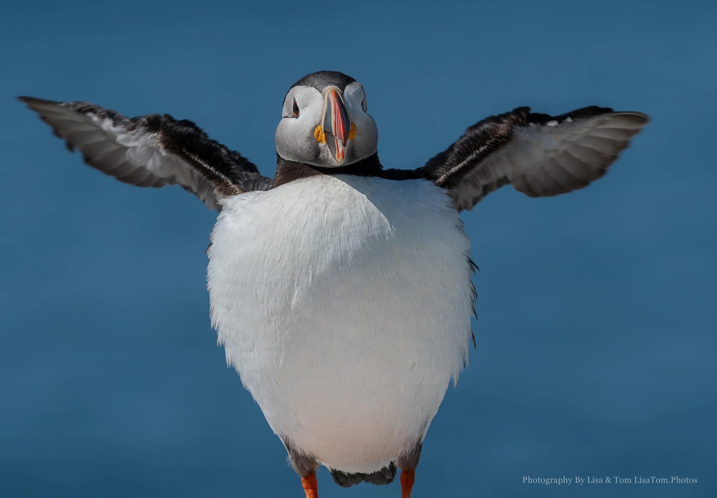 Cuchara_021__50589b_080518_103046_EM1 M2T2-ORF_DxO_DeepPRIMEXD.JPEG