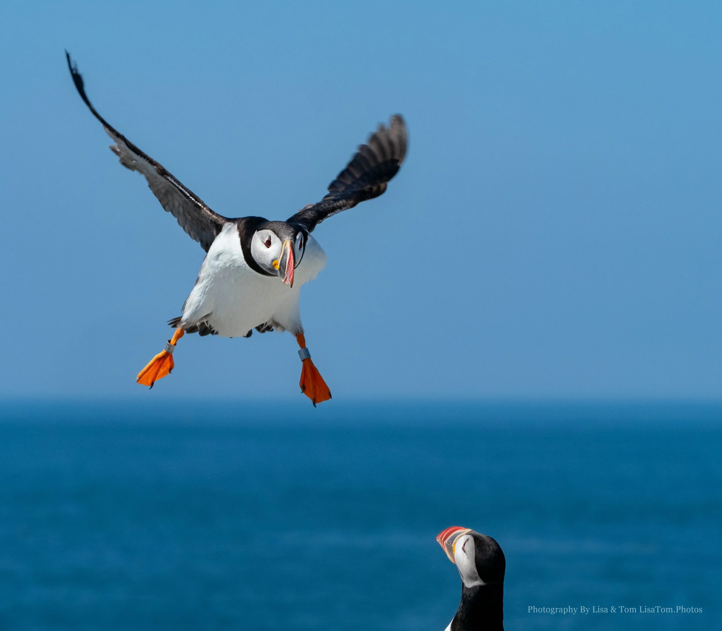 Cuchara_017__50370_080518_100601_EM1-M2T.JPEG