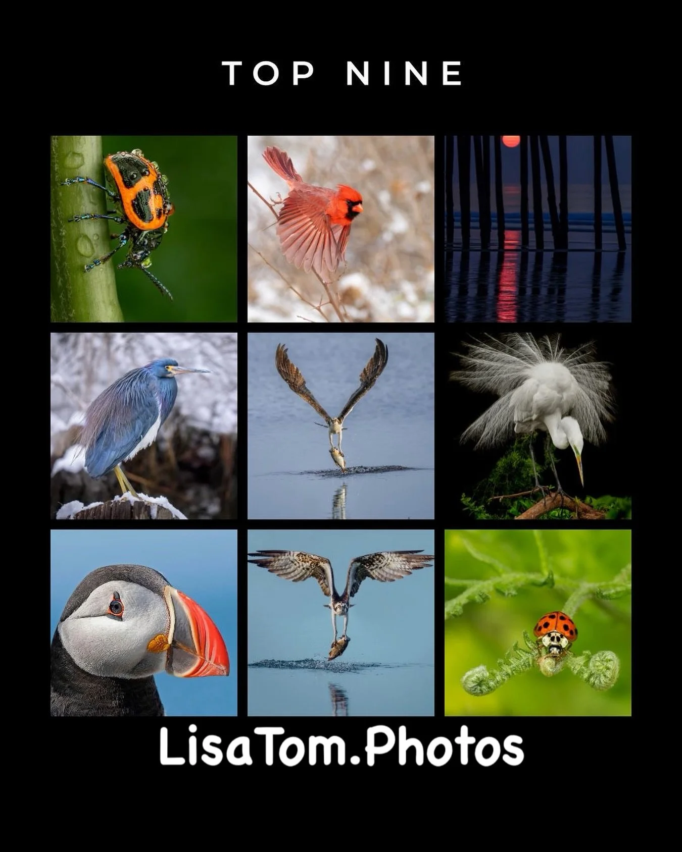 Our 205
According the the top nine app