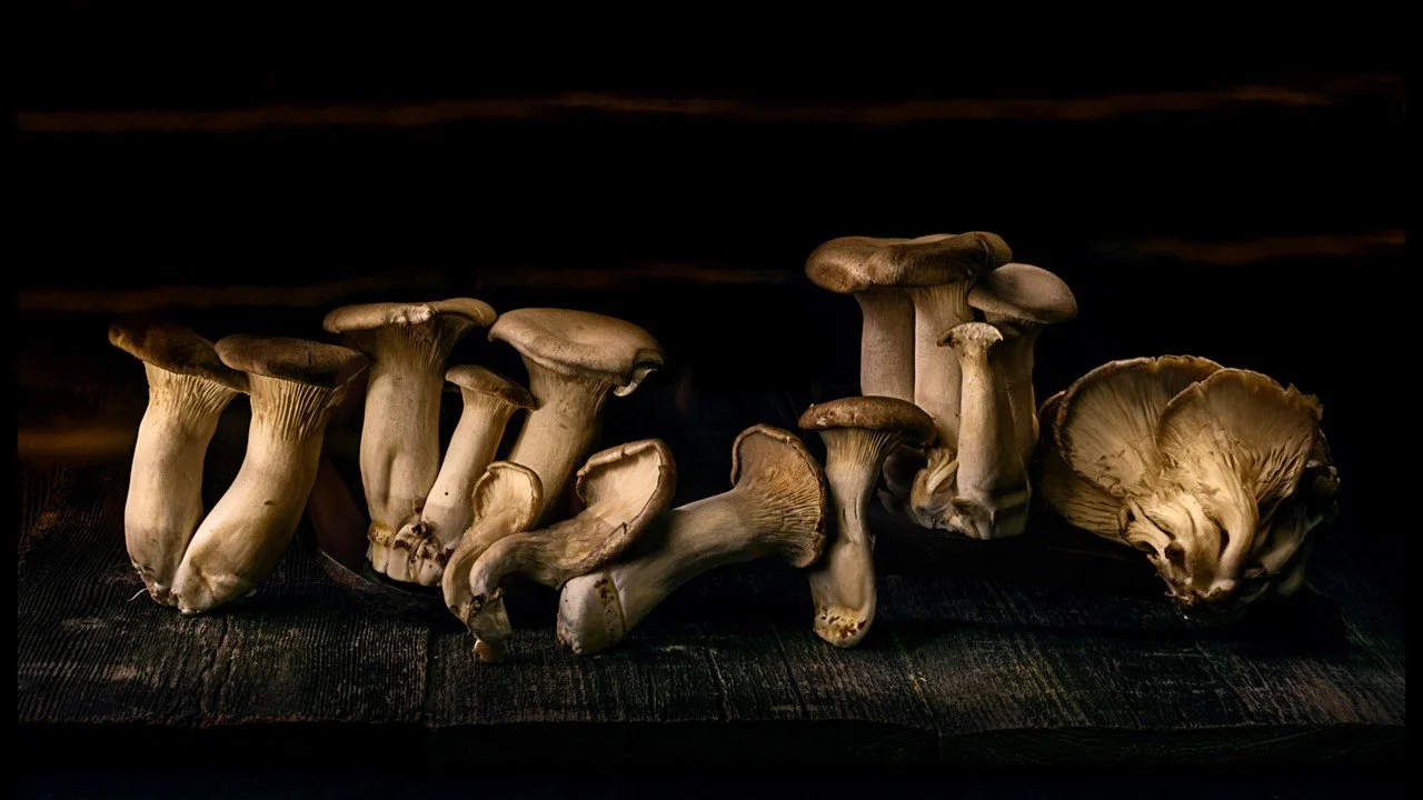Lightpainted mushrooms! 
This was created using Daylight Live Composite to freeze the ambient light. 1/2 second refresh rate f11 iso 250. 108 frames, stacked in-camera on lighten blend mode, for a total time of ~54 seconds. 

Taken with the @omsystem