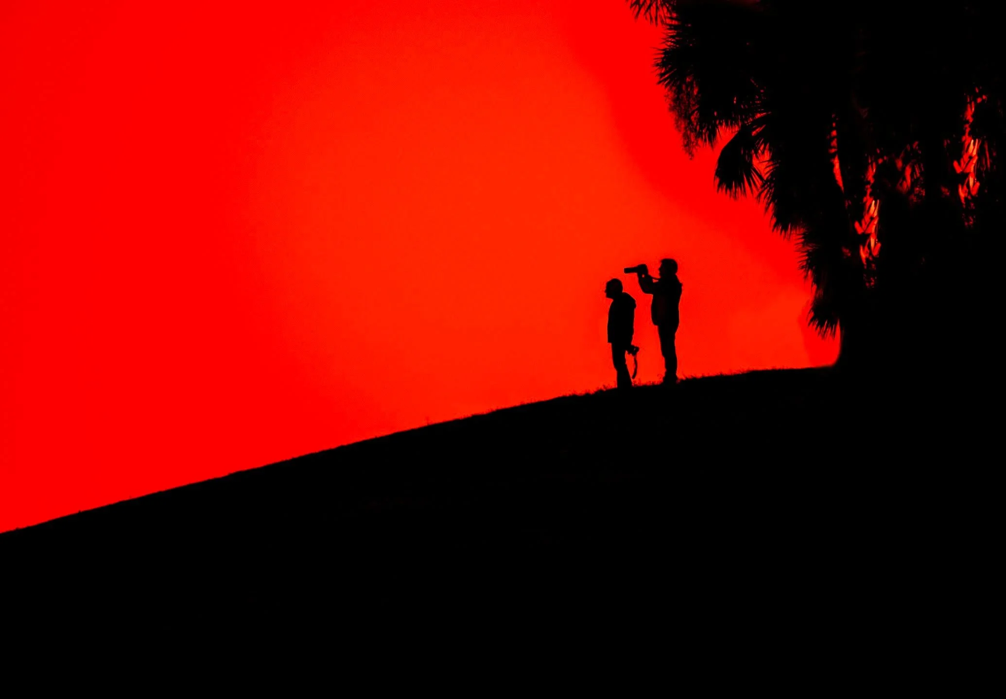 Photographers in action. The ponds and grasses near me were fairly quiet in the early morning light, so these two photographers became my subjects. I quickly changed my white balance, pushed the subject detection (bird AI) off and underexposed...

Ta
