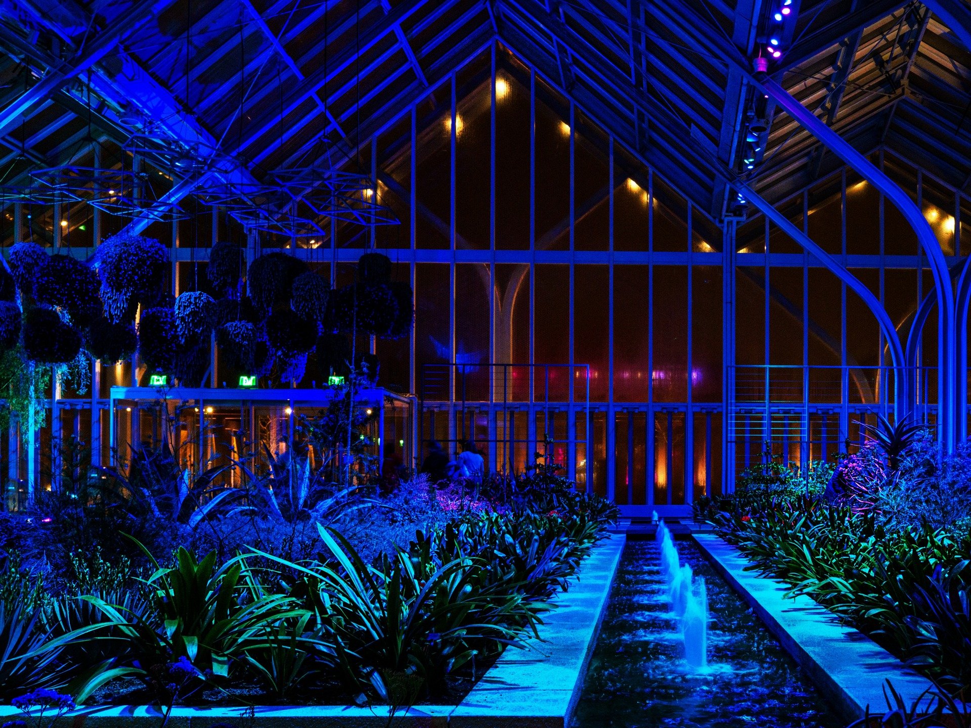 The GLOW at @longwoodgardens

Taken, handheld, with the @omsystem.cameras M.Zuiko Digital ED 12-45mm F4.0 PRO OM on the @omsystem.americas OM-5 mark II

#lisatomphotos #nightlights #longwoodgardens #glow #om5markii