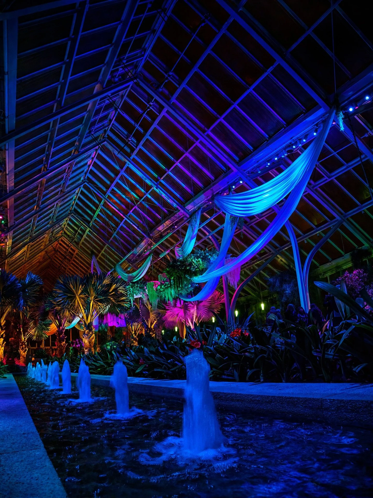 The GLOW at @longwoodgardens 

Taken, handheld, with the @omsystem.cameras M.Zuiko Digital ED 12-45mm F4.0 PRO OM on the @omsystem.americas OM-5 mark II 

#lisatomphotos #nightlights #longwoodgardens #glow #om5markii