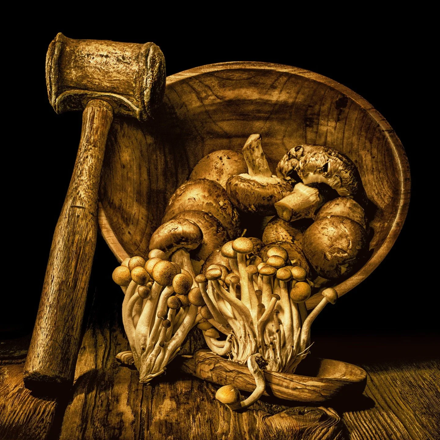 Mushrooms, one trying to escape the mashing...lol
Taken during the day using live composite to freeze the ambient light. 

Light painted 
ISO 200 f13
104 (yes, one hundred and four)1/2 second exposures blended, in-camera, on lighten blend mode. Taken