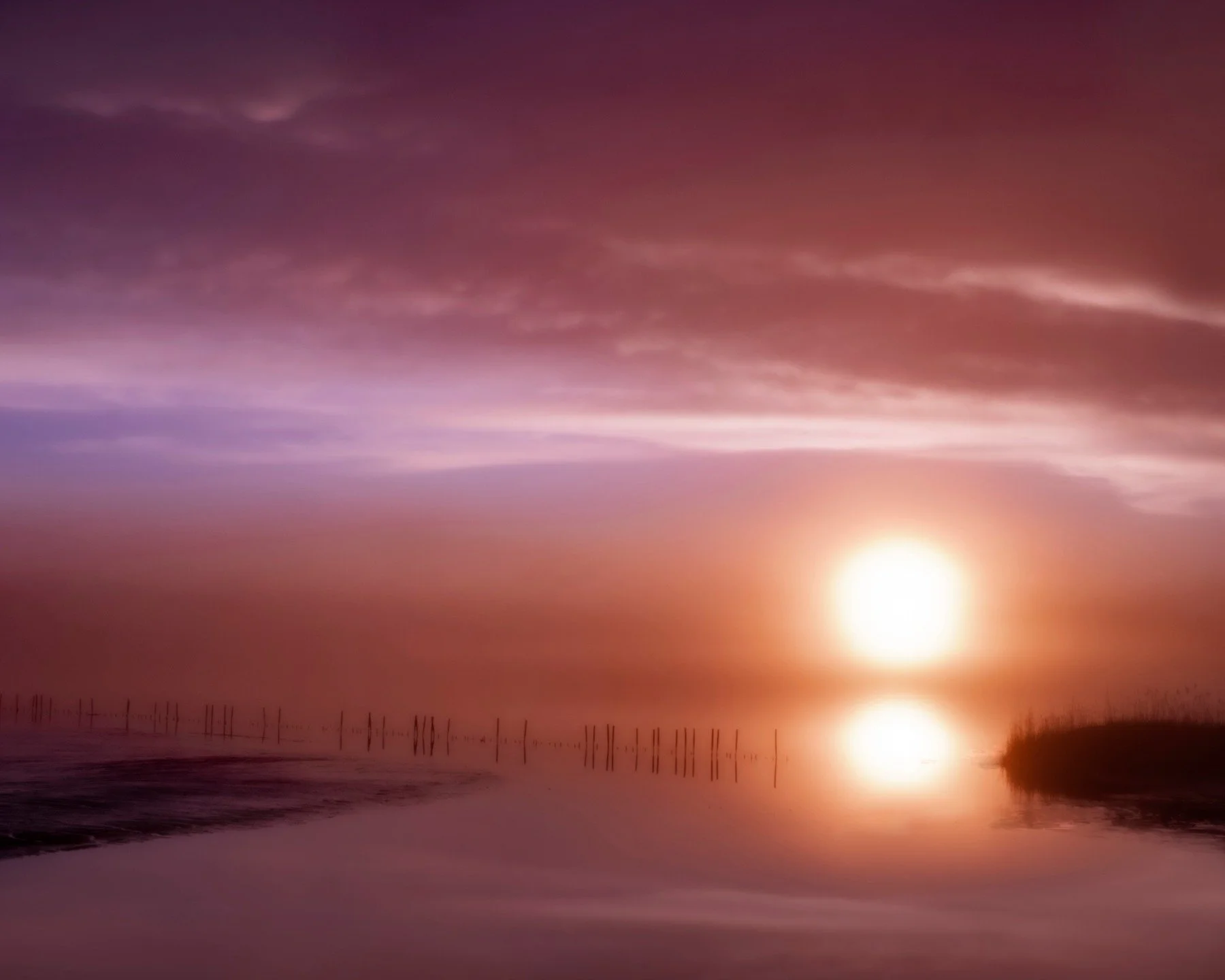 Photography often gets me up early, and sometimes I am rewarded like this sunrise

Reddish Egret, breeding plumage

Taken with the @omsystem.americas M.Zuiko 12-100mm lens 

@omsystem.cameras #omsystemcameras #seetheunseen #itsinournature #omsystem #