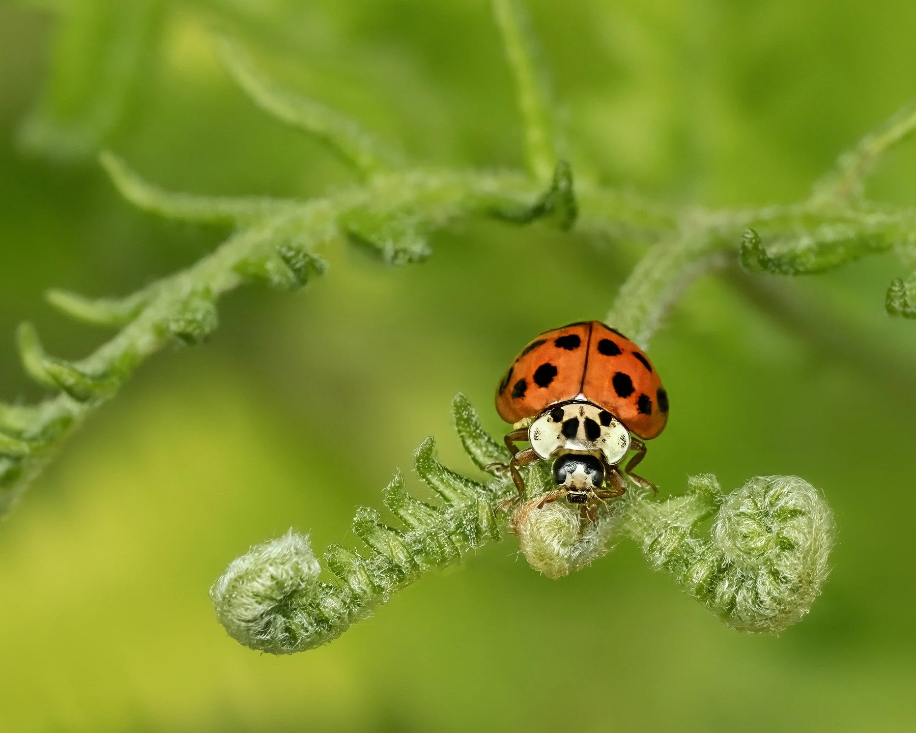 Happy Earth Day

@omsystem.americas #omsystem #earthday #lisatomphotos