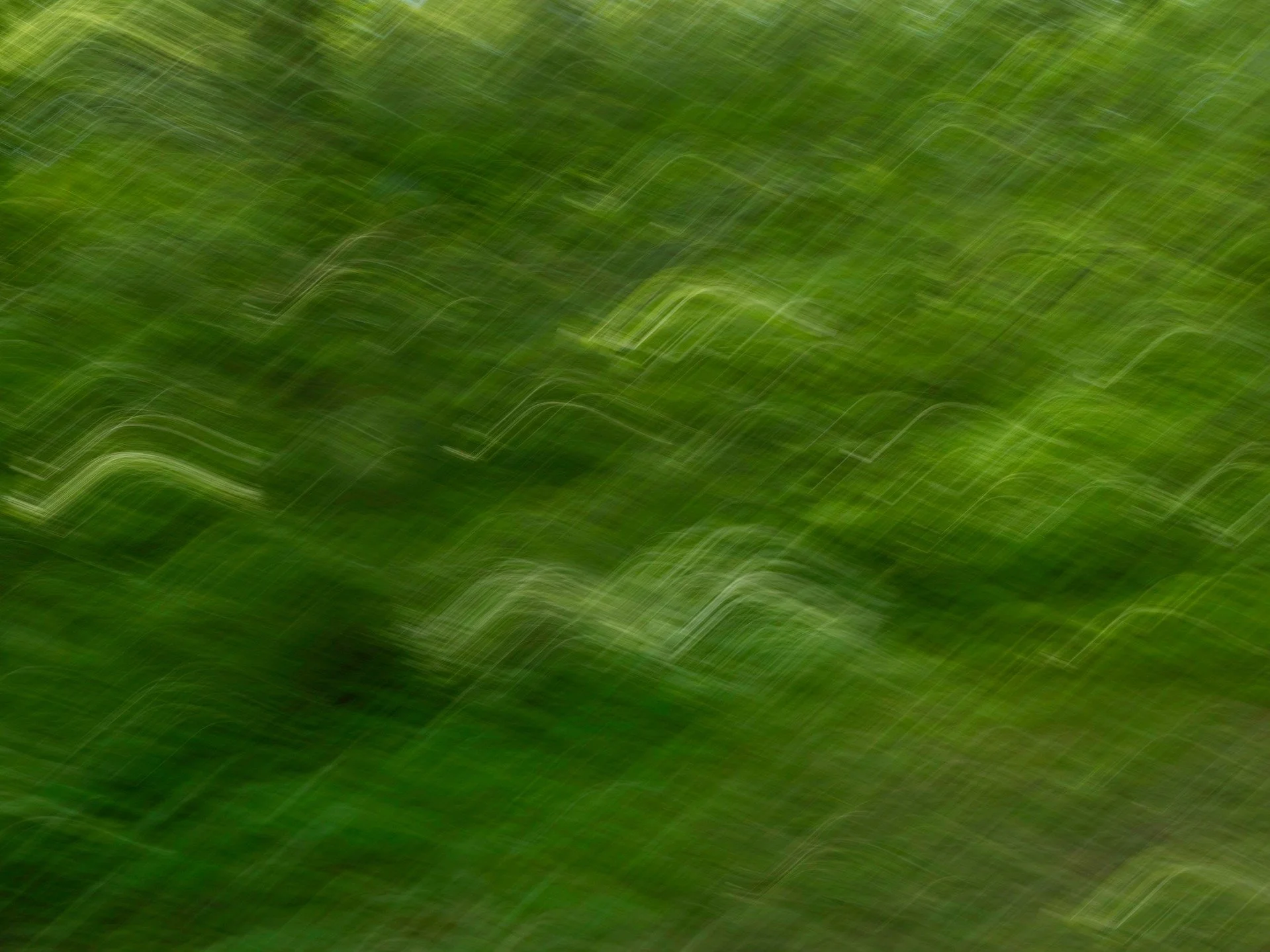 ICM
Intentional Camera Movement
From our recent VA retreat. 

Taken with my @omsystem.americas M Zuiko 12-100mm lens on my OM-1 camera using live ND

@omsystem.americas
#omsystem #ICM #longexposure #livecomposite #lisatomphotos