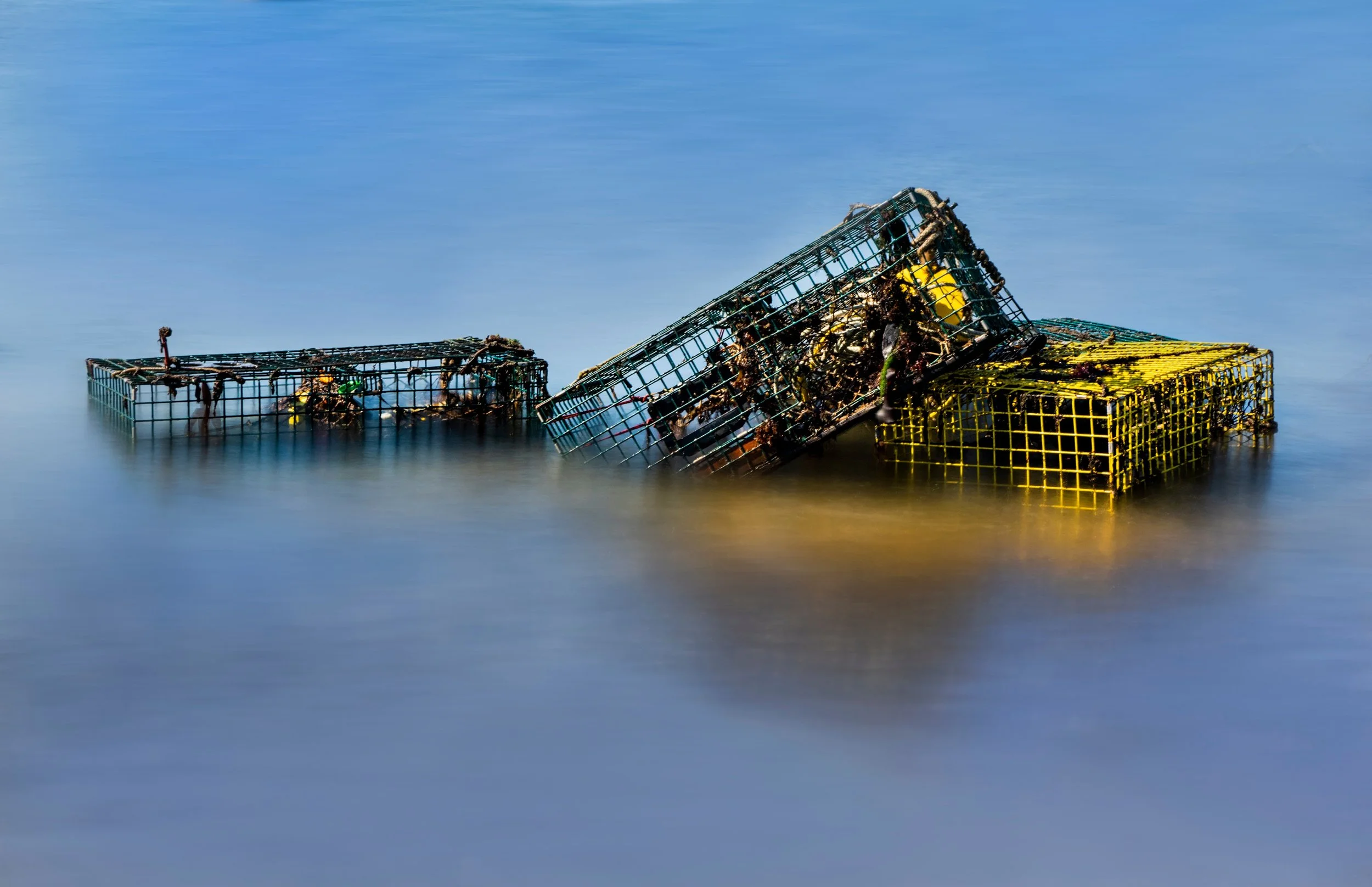 I love daylight live composite

Taken using the @omsystem.americas M Zuiko 12-100mm lens

1/2 second exposures stacked in-camera (single manual 1/250 sec frame for reference)

#omsystem #lobstertraps #livecomposite #maine #lisatomphotos