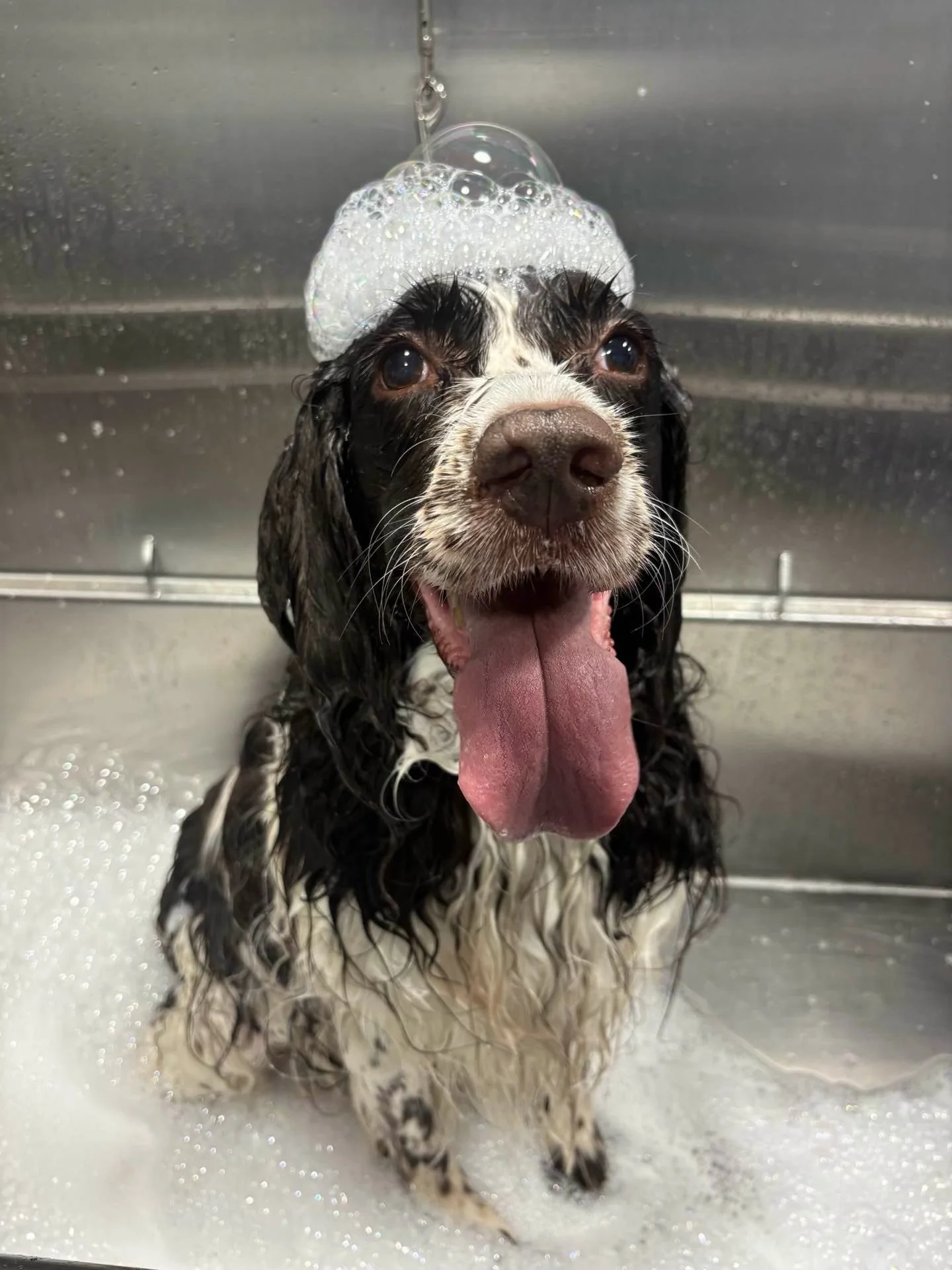 Bath time