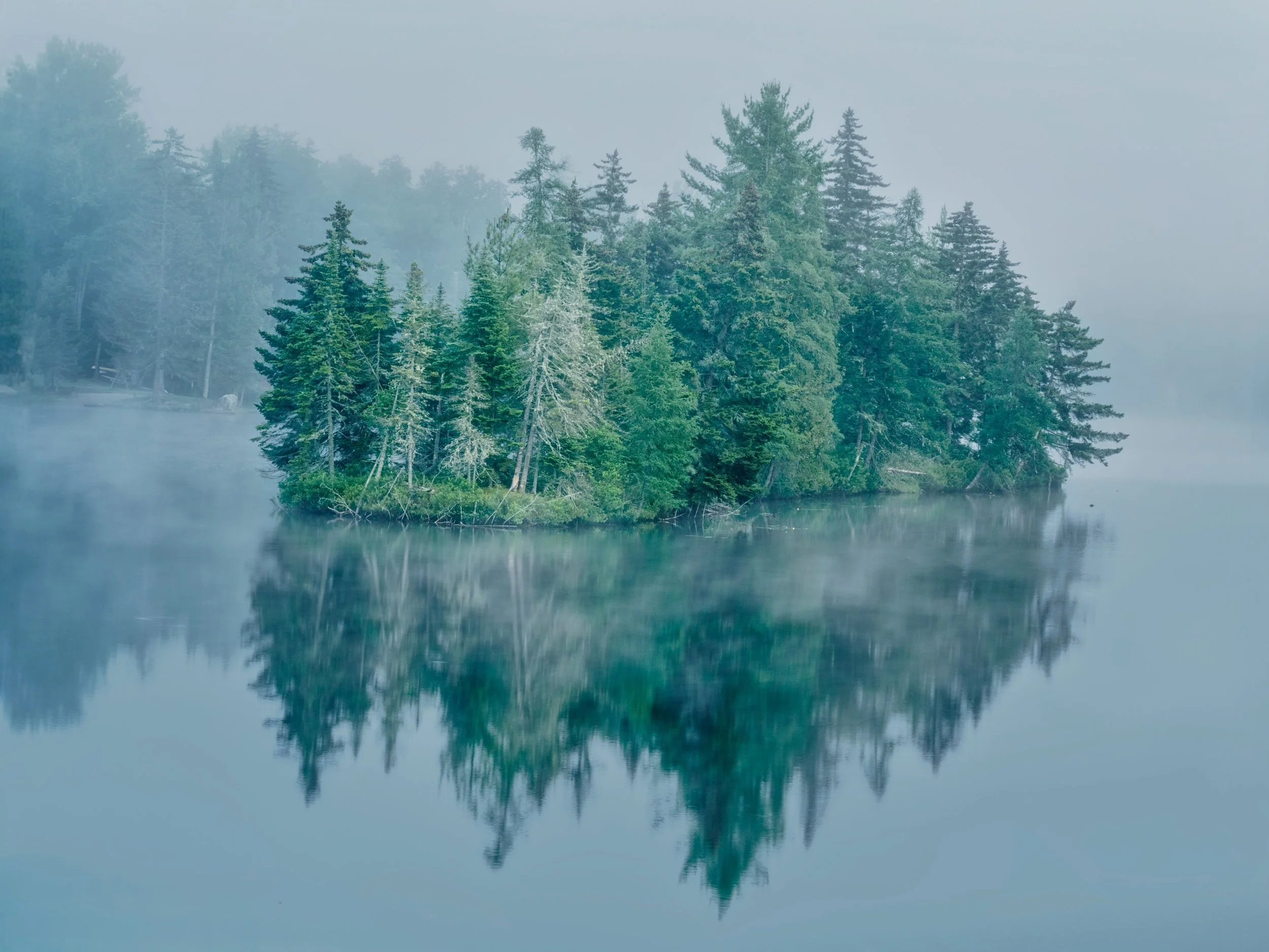 At the Lake
HHHR mode (hand held high res mode) for a 50 MP image.

Taken with the @omsystem.americas OM-3

#omsystem #om-3 #itsinournature #HHHR #lisatomphotos