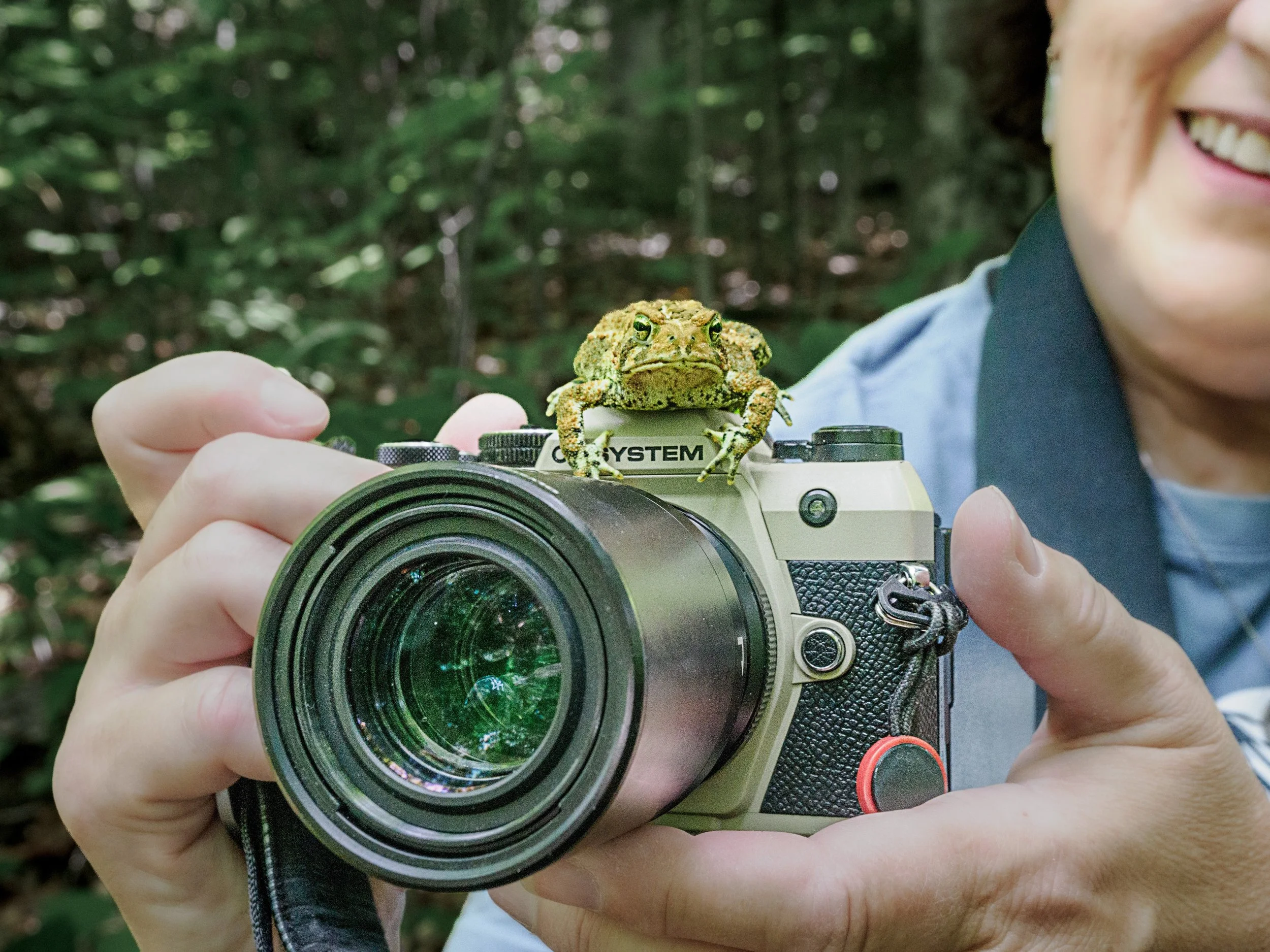 Froggie on my @omsystem.americas OM-5 amrk II
