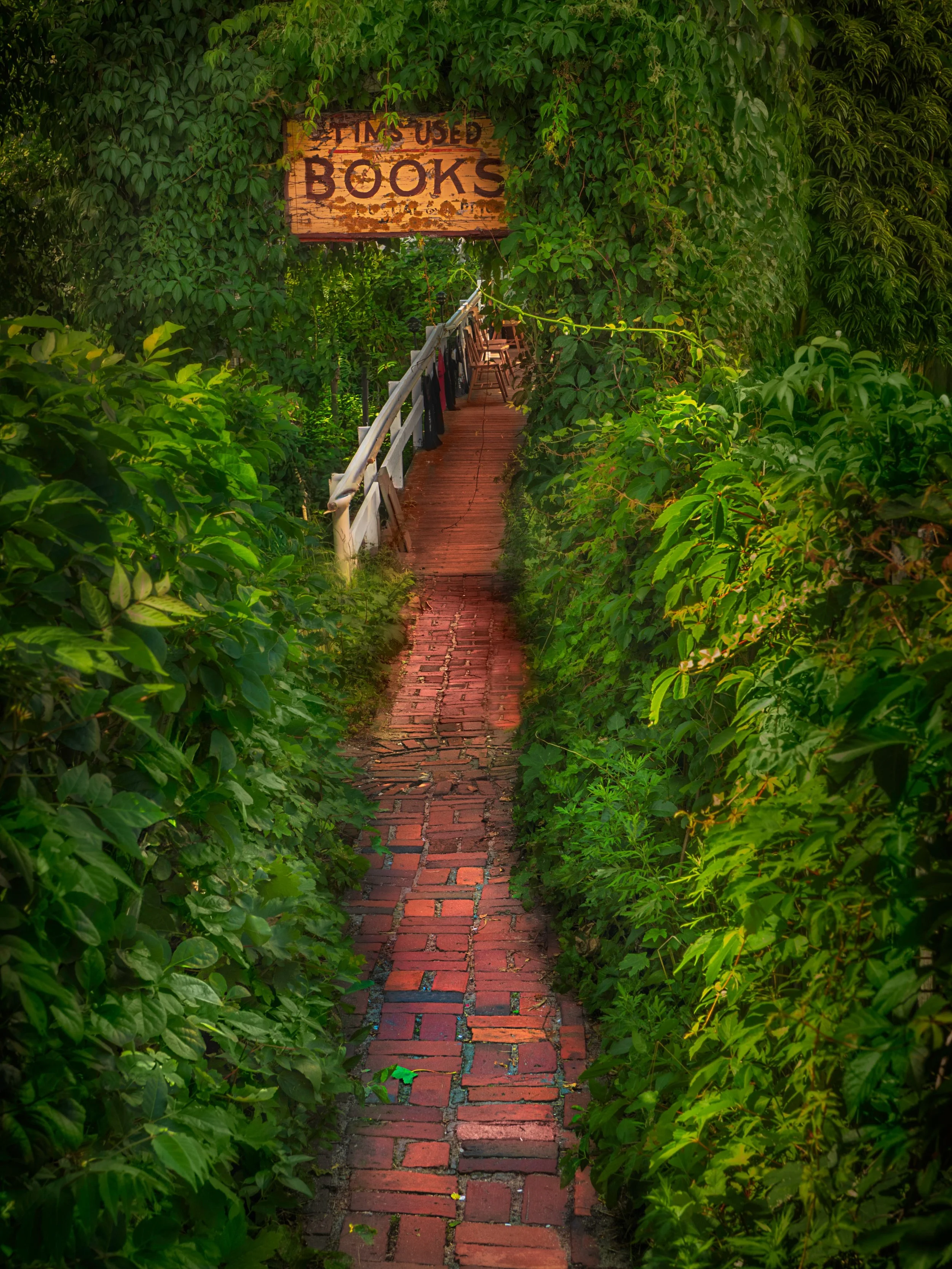 The path to the BOOKS

Taken, handheld, using the @omsystem.americas M Zuiko 12-100 on my @omsystem.cameras OM-1 mark II using exposure bracketing (merged to dng in ACR)

Taken during a midday walkabout while co-leading one of our #naturephotoretreat