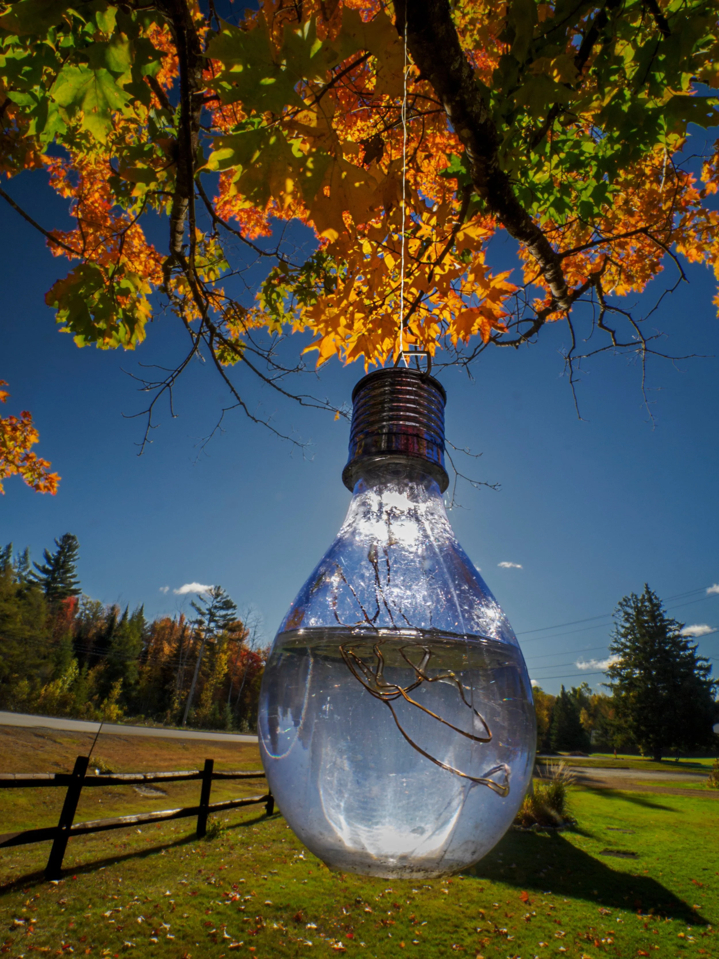 This year's awesome Fall foliage! The colors are just WOWZA

Using the @omsystem.americas OM-3 camera (@omsystem.cameras 8-25mm lens)

#NH #lisatomphotos #fallfoliage #autumncolors #omsystem #lisatomphotos #om3