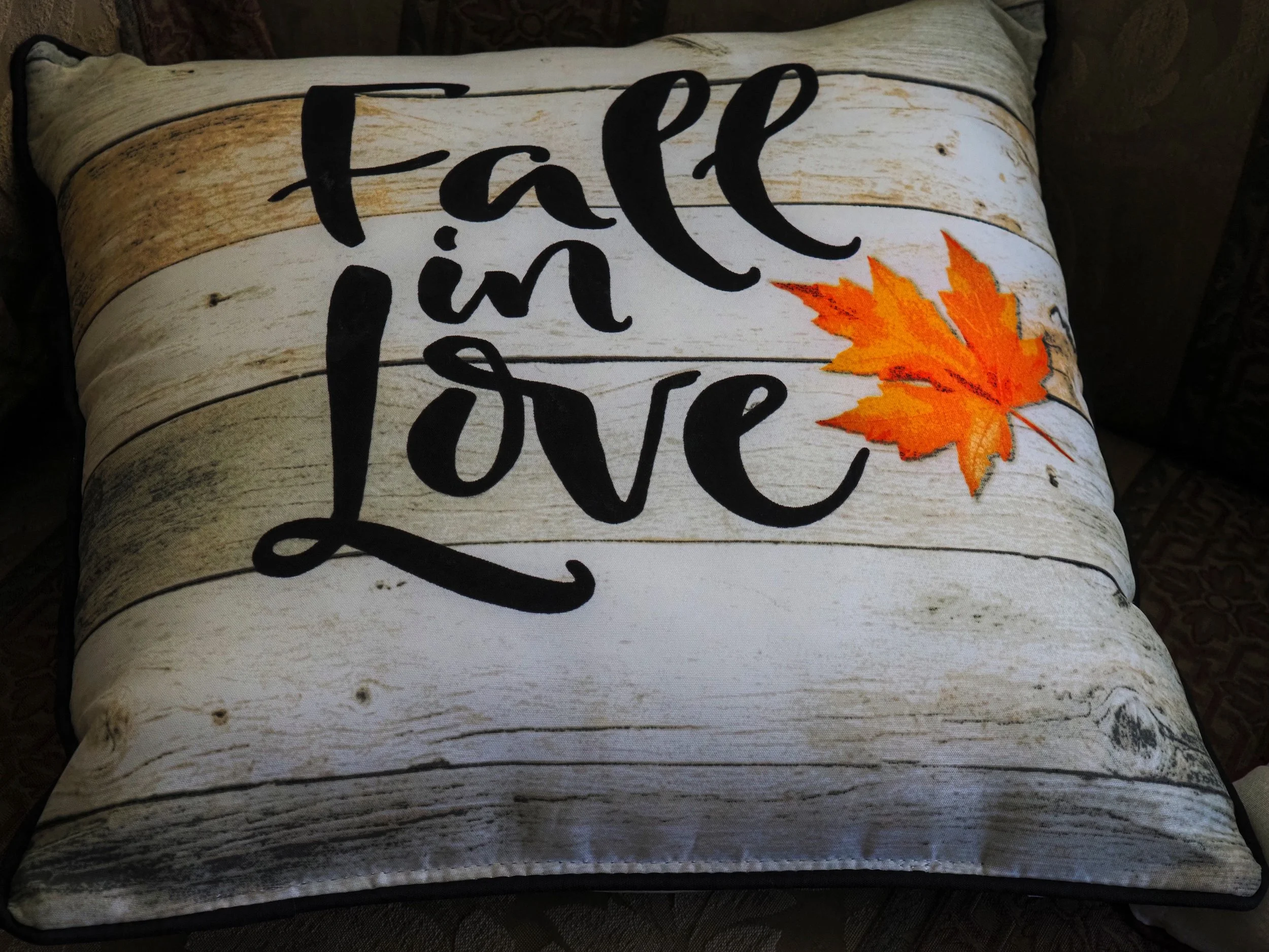 Fall in love with fall

Taken with the @omsystem.americas M Zuiko 14-42mm lens on the @omsystem.cameras new Pen camera 

#omsystem #lisatomphotos #lightpainting #livecomposite #autumn #fallleaves