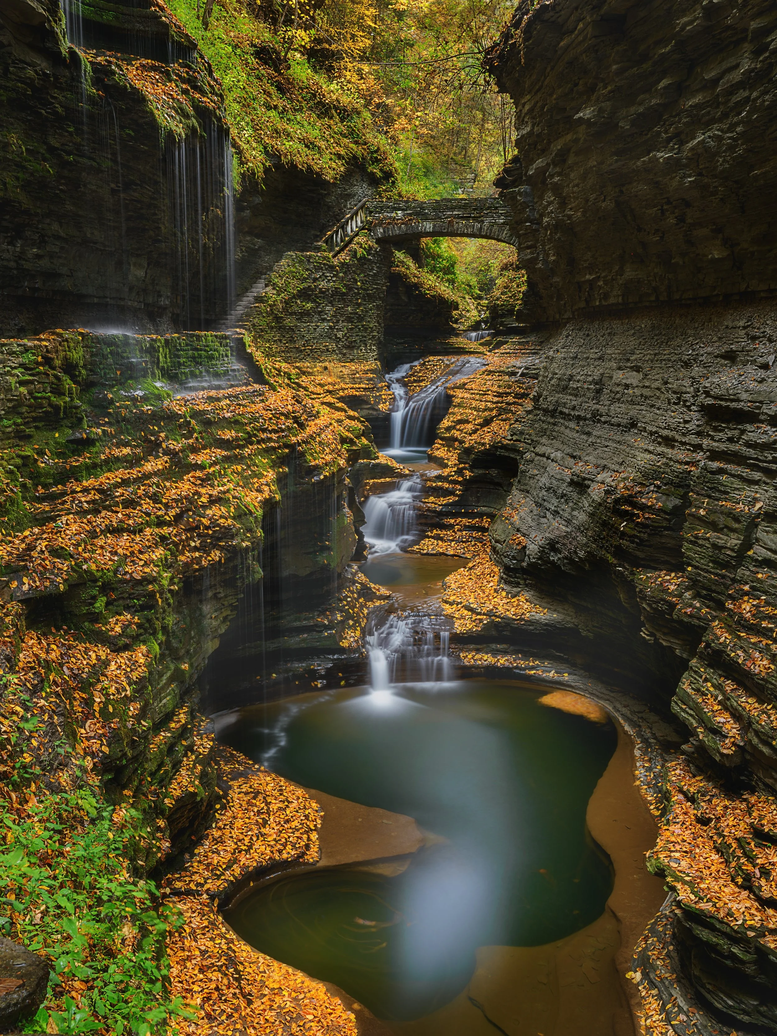 @franktaylorsmith and Tom just came back from scouting for a future @naturephotoretreats photo retreat 

Taken with the @omsystem.americas M Zuiko 8-25mm lens on the @omsystem.cameras OM-3 camera using Hi-Res mode

#omsystem #omsystemautumn #fall #wa